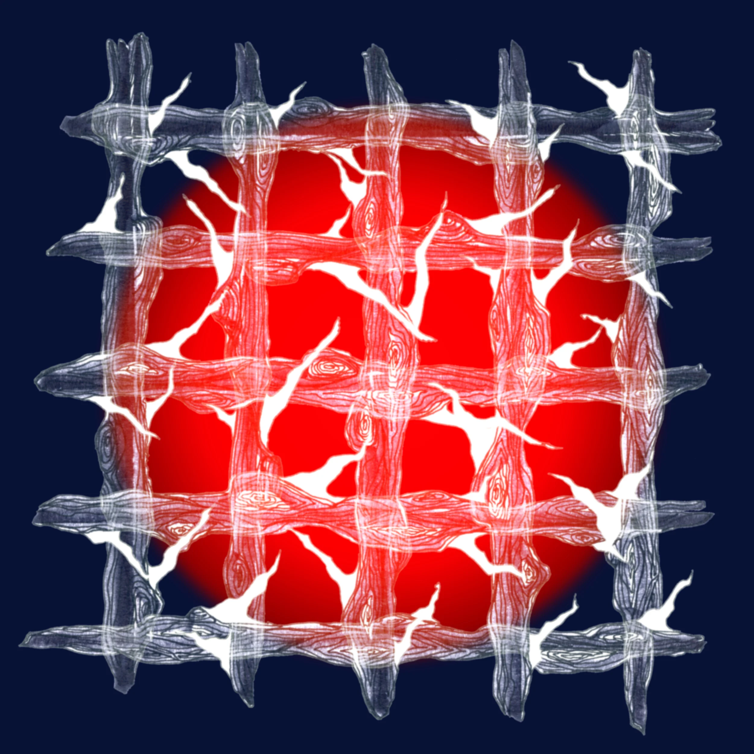 branches.jpg