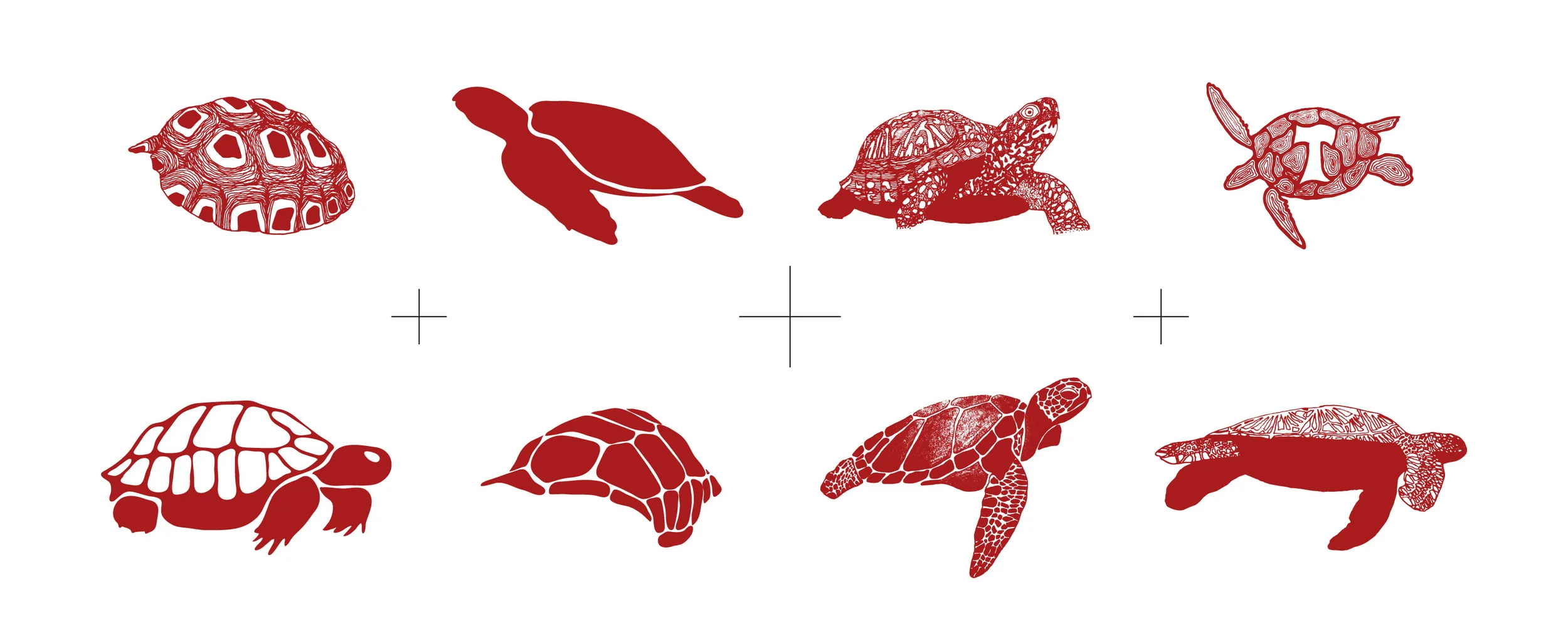 turtlelogos.jpg