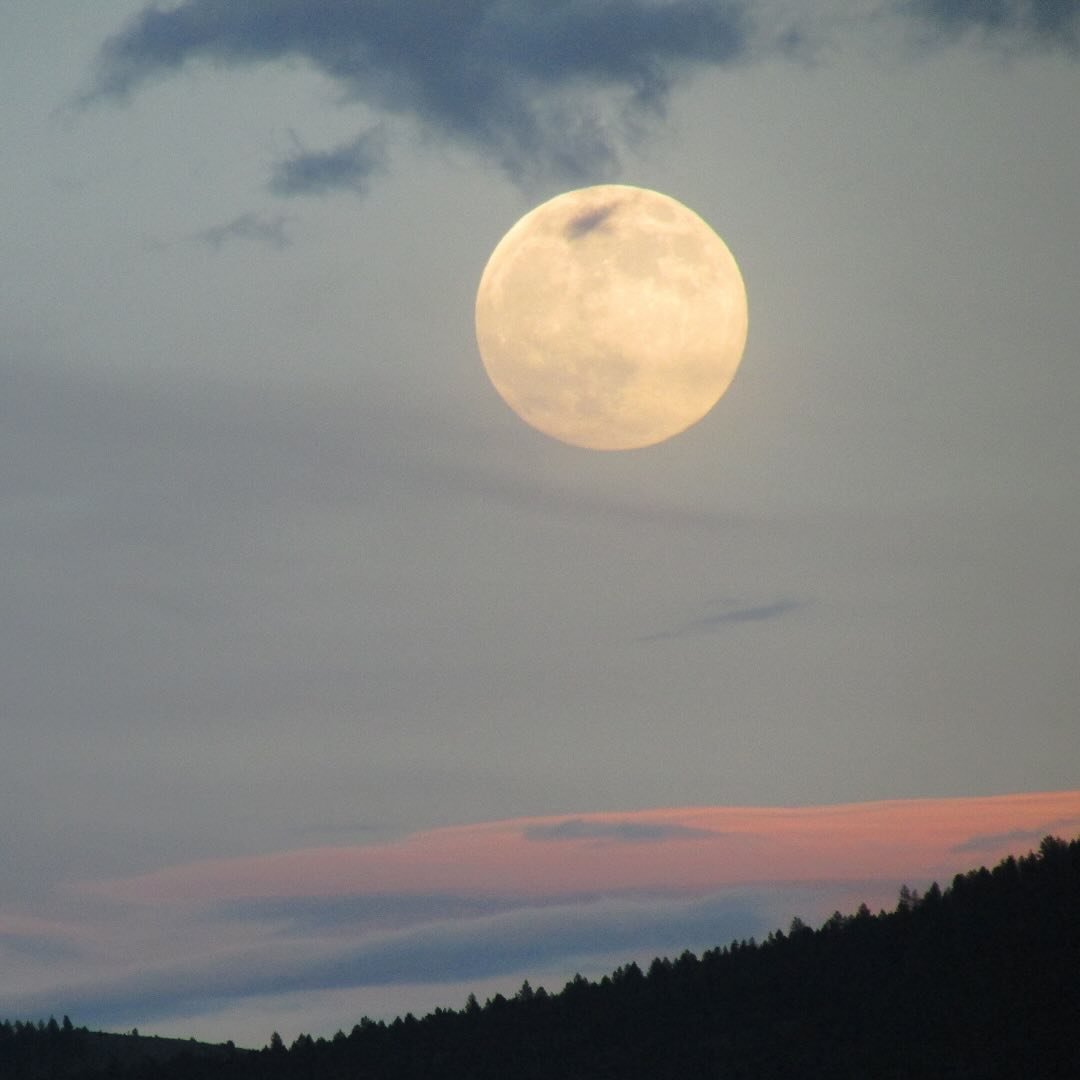 🌕 The Full Moon: A Reminder of Cycles, Timing, and Precision

💫 Did you know the full moon has long been a symbol of completion and illumination? Just like how the moon&rsquo;s phases cycle consistently, the world of event planning is all about tim