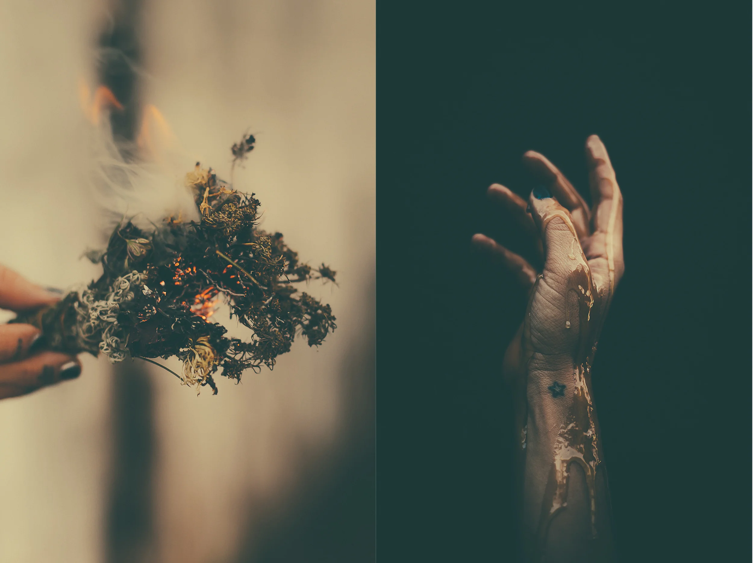 Velvet_Dust_Elements_Issue_Botanicals_Folklorica_Interview003.jpg