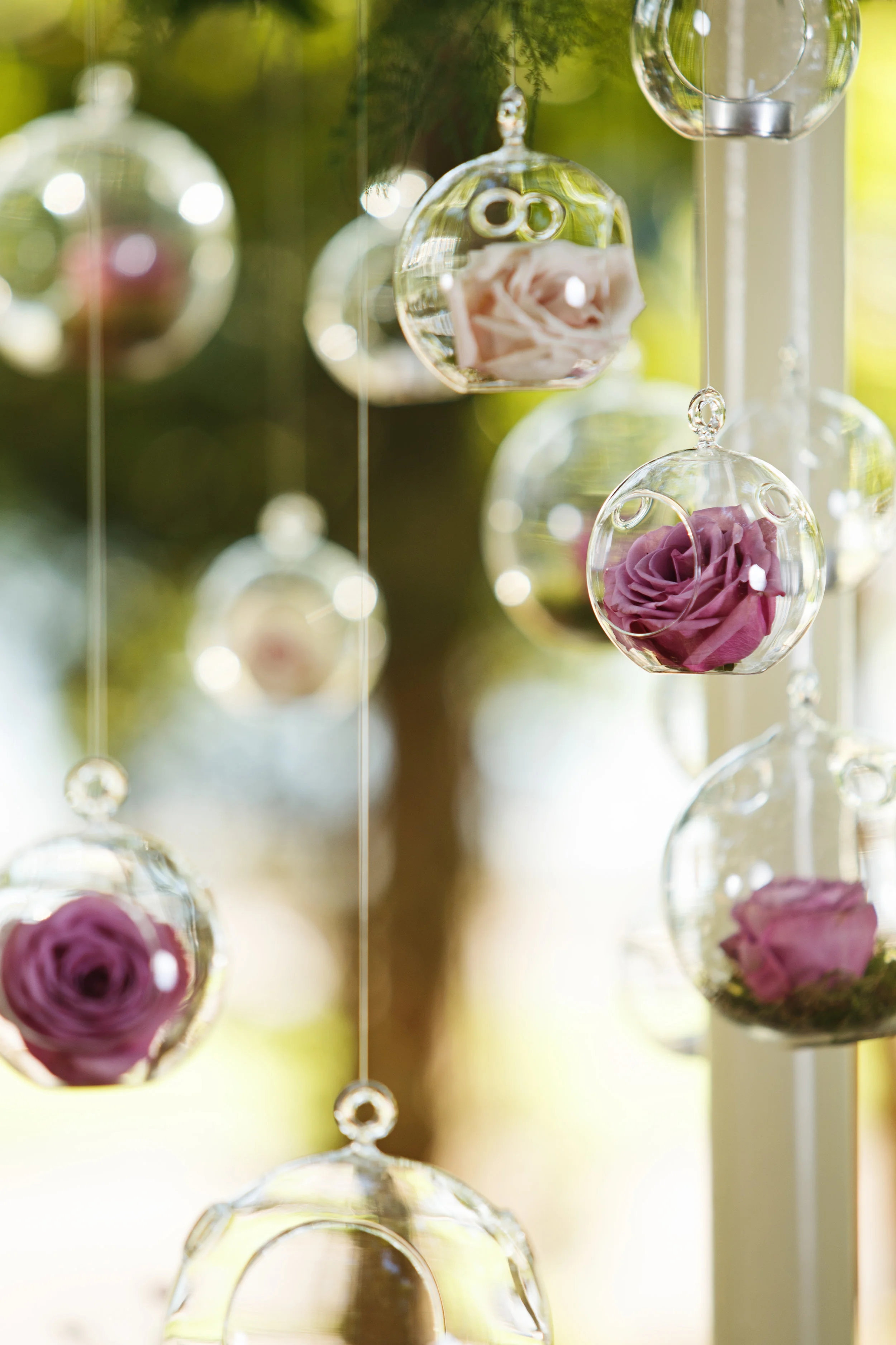 20150714_sbg_florals-0314.jpg