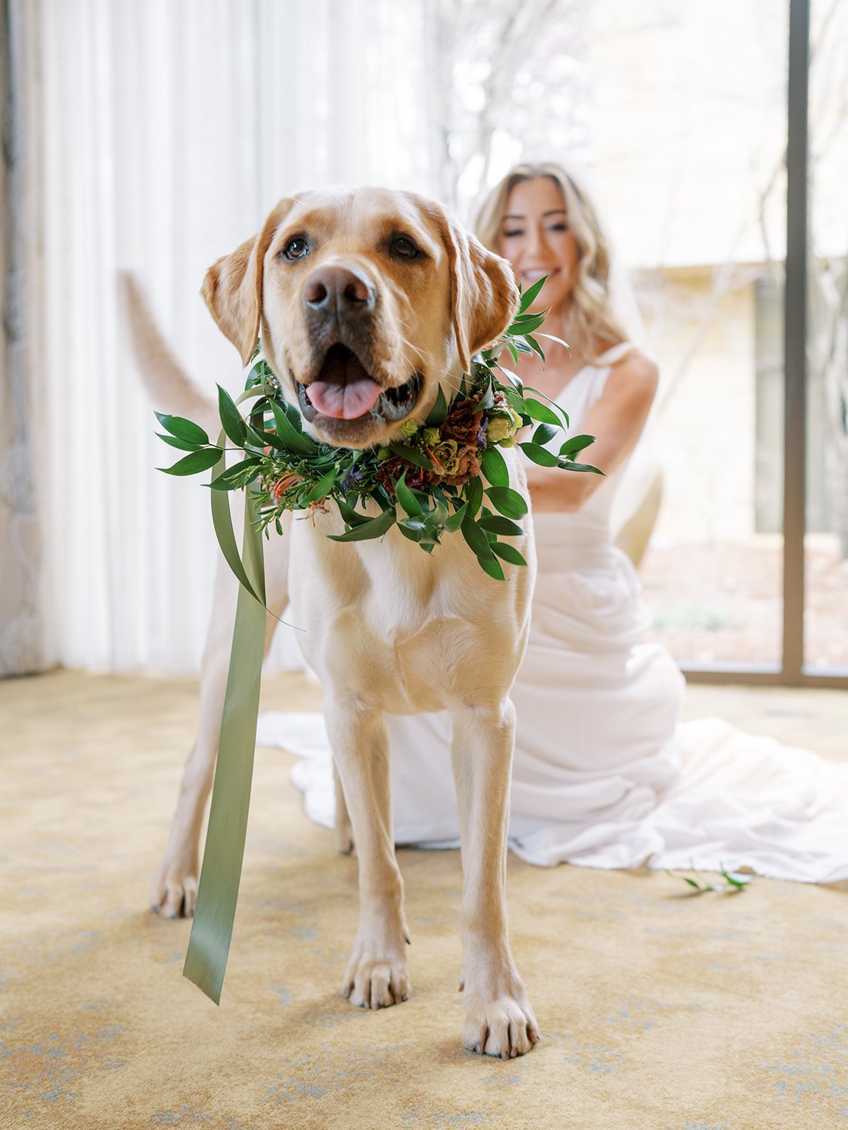 Dogs floral collar