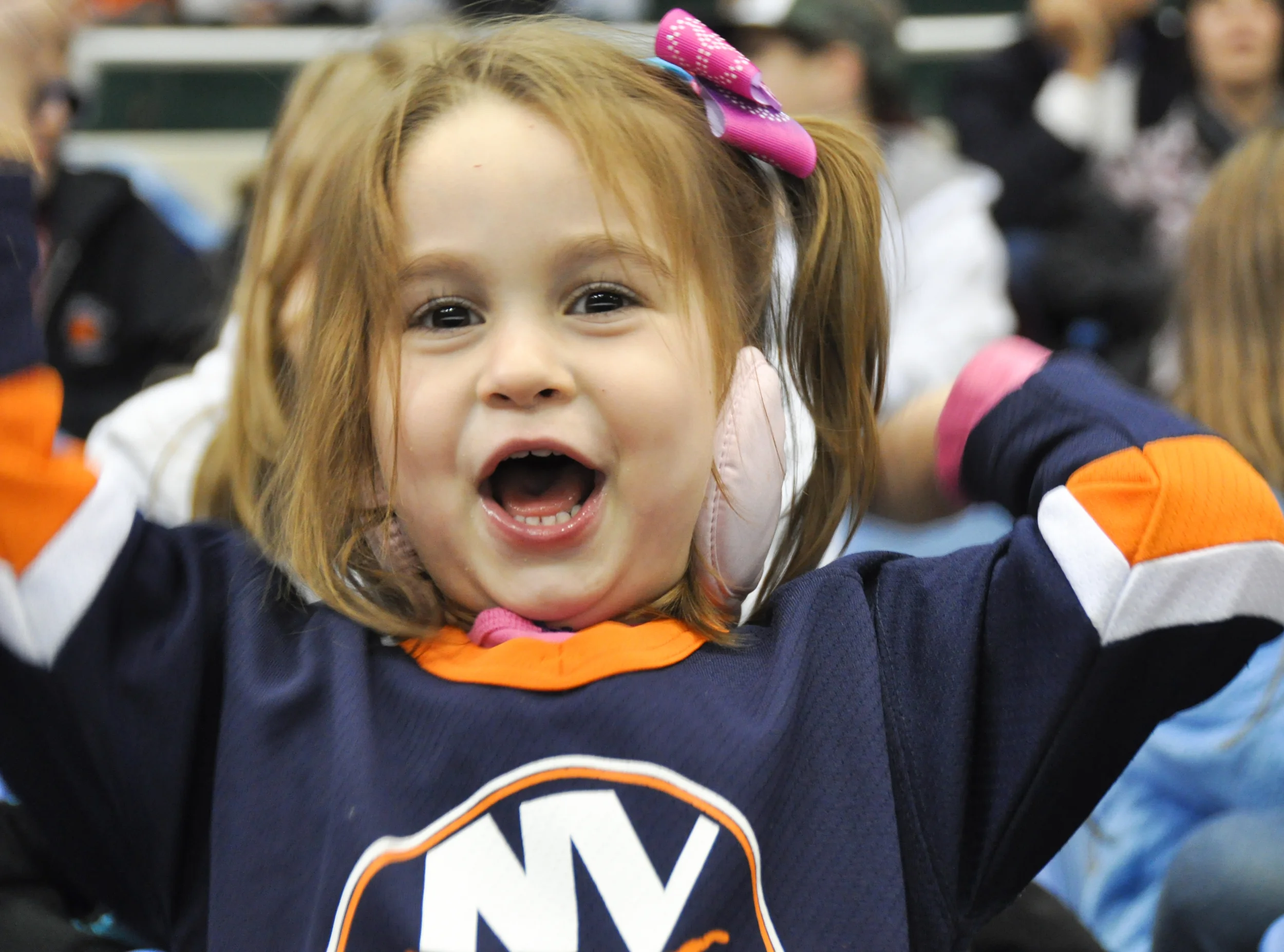 Hockey Fan