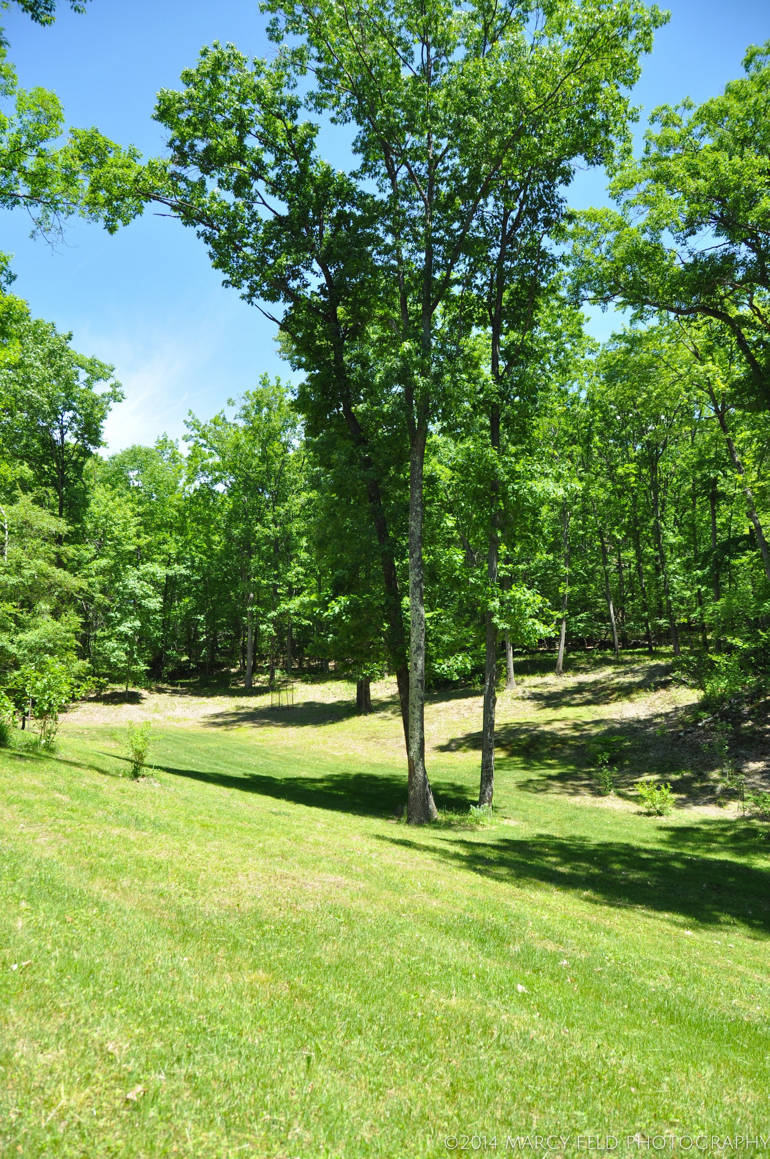 View of the glen