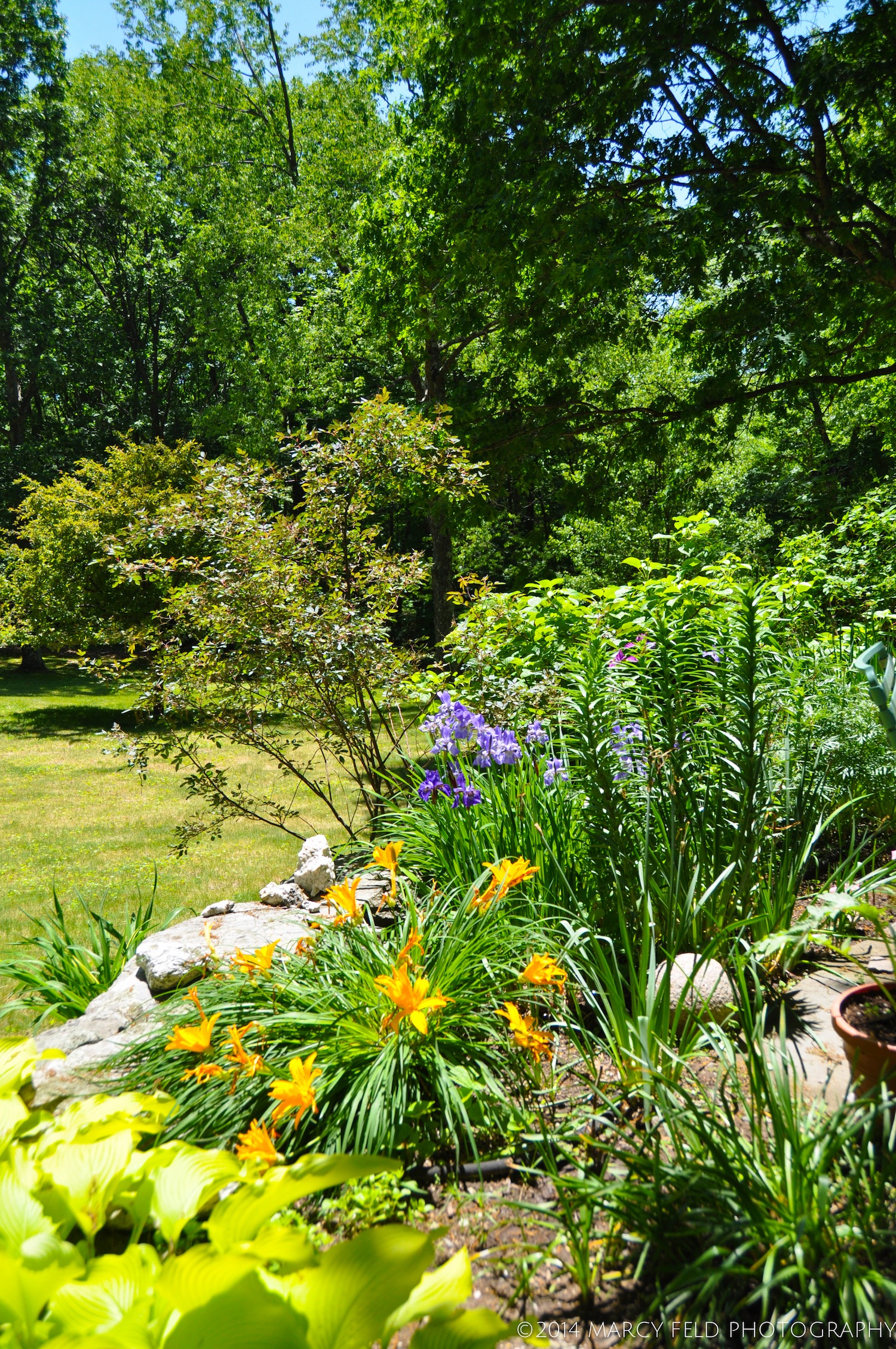 View Along the Terrace Bed
