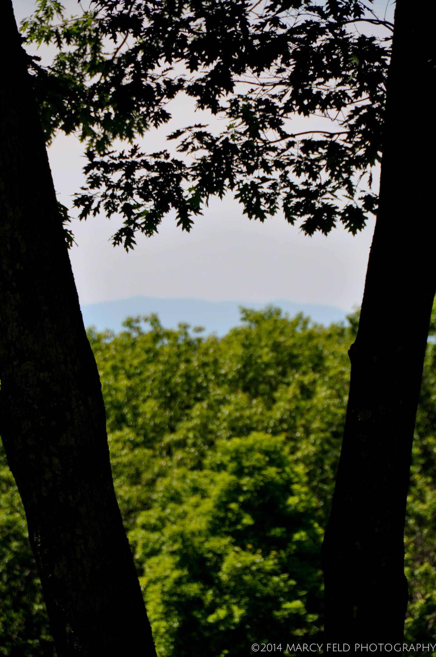 Western View Toward the Catskills