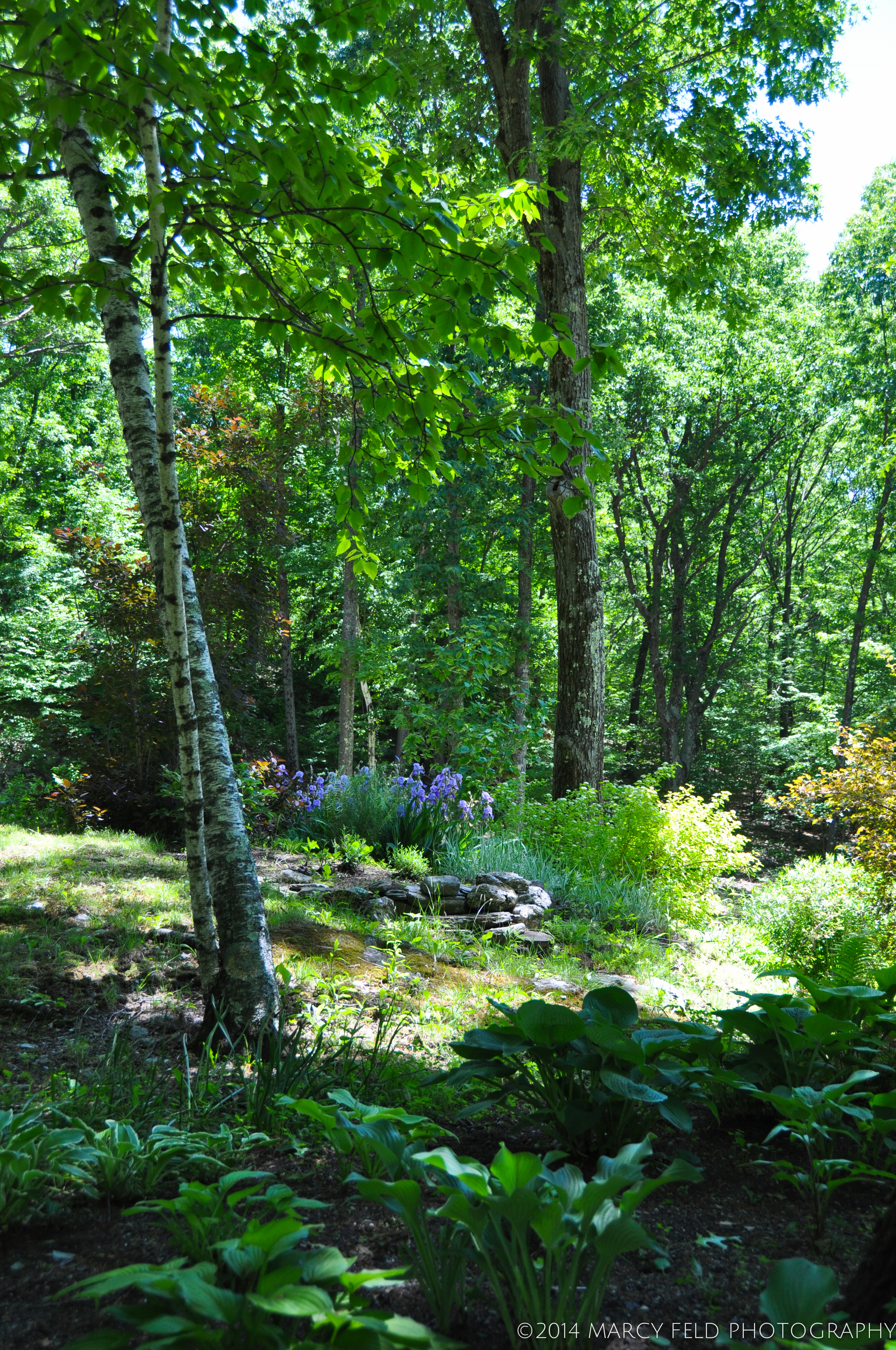 Shaded View
