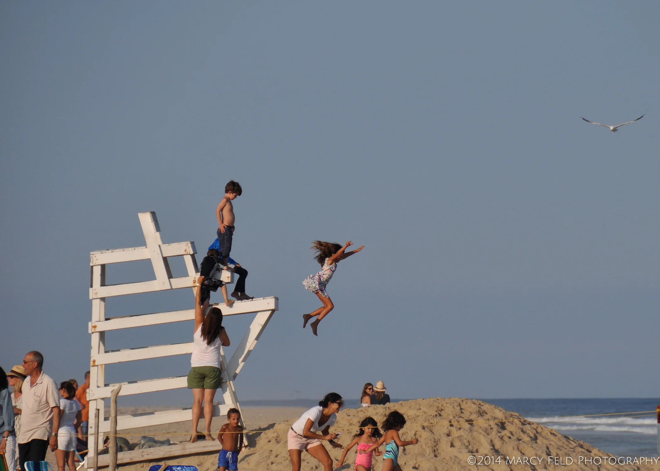 DSC_6555©2014 Marcy Feld Photography.jpg