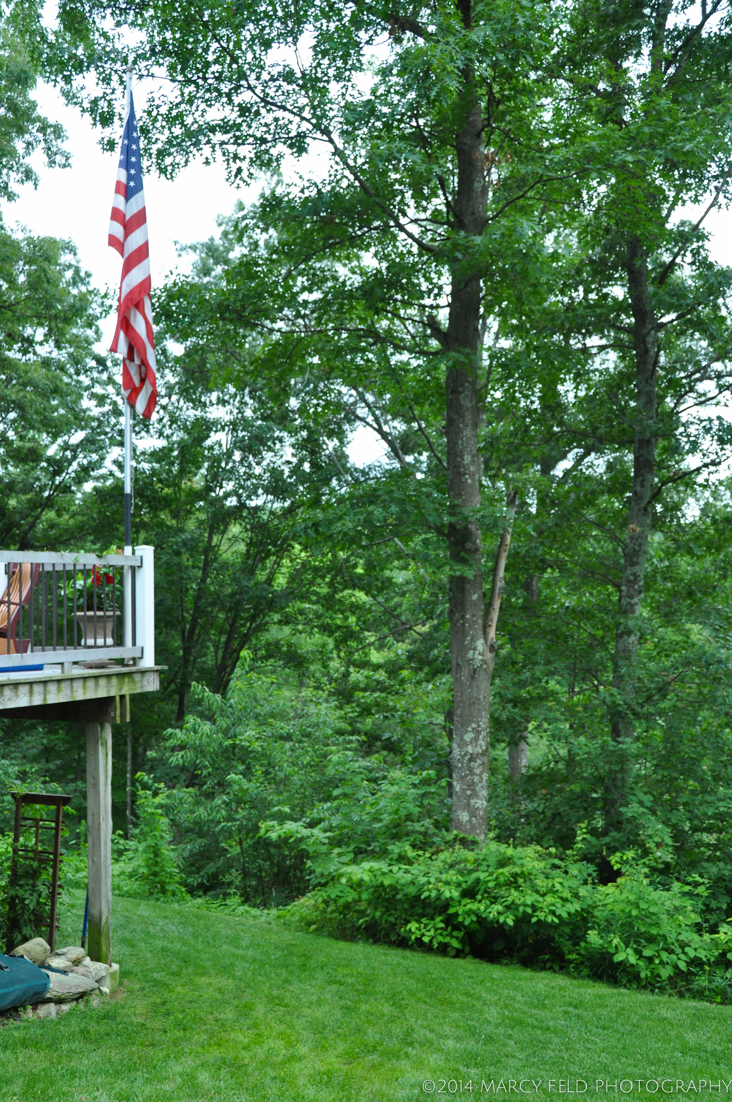 The lower level with stunning views from the deck