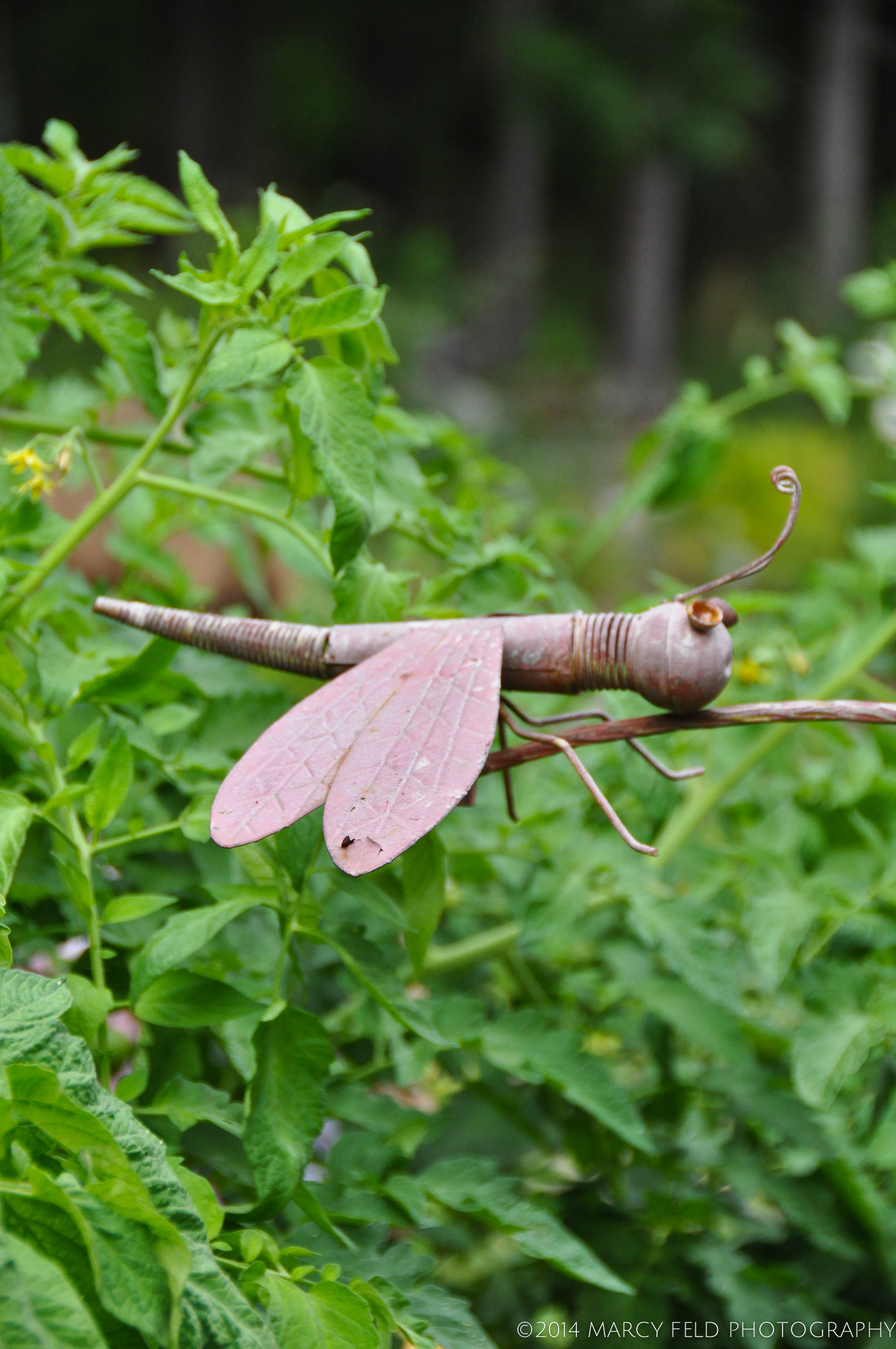 Dragonfly ornament