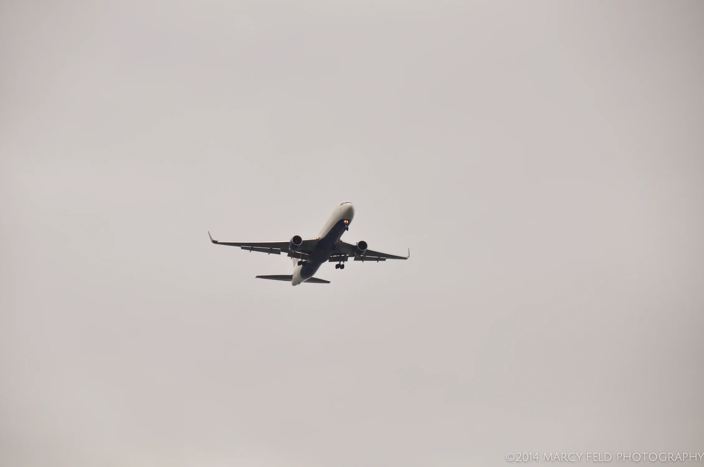 Marcy FeldDSC_5903.jpg
