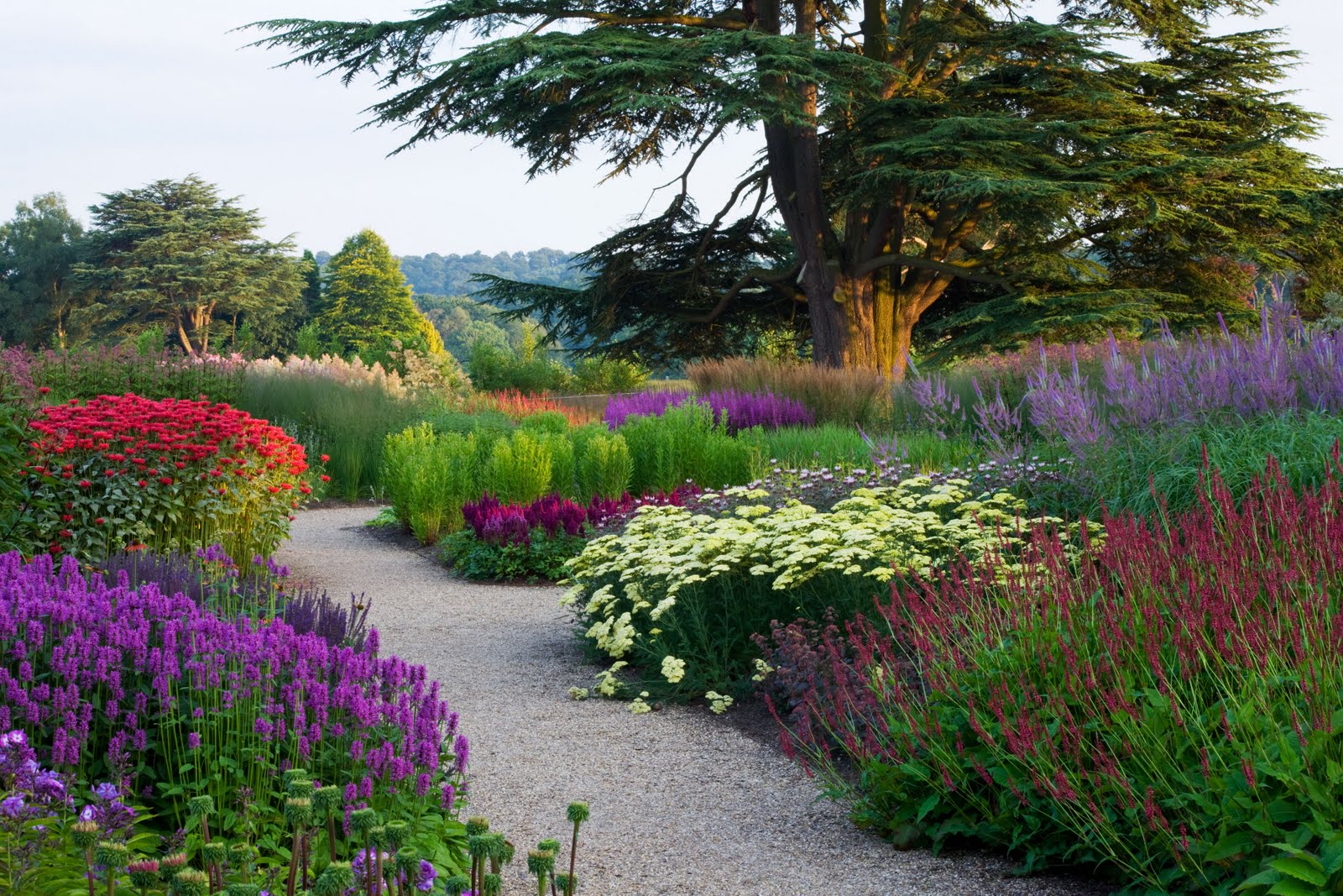Planted drifts mimic natural meadow drifts, giving a repetitive, pleasing appearance.
