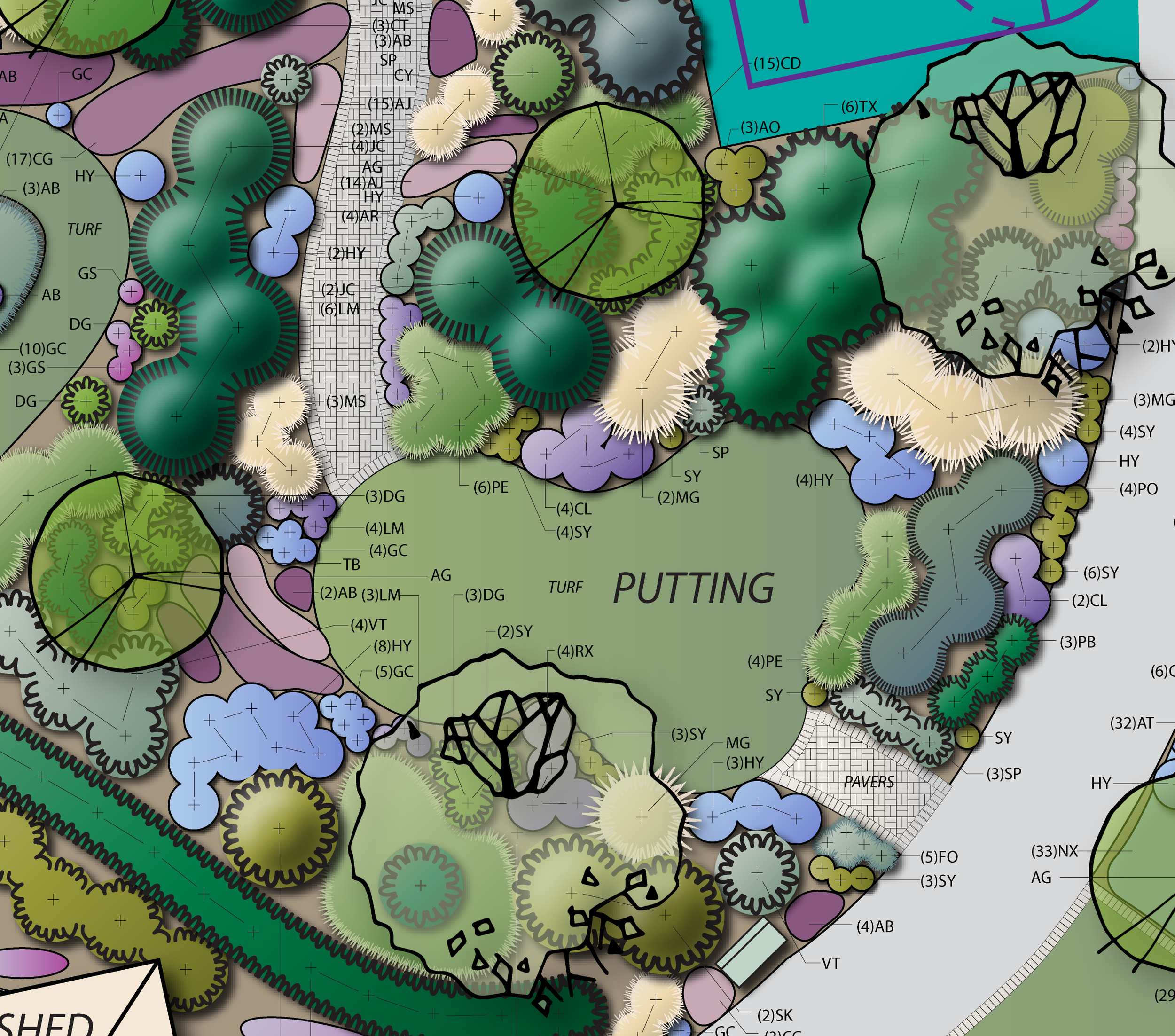 Putting area detail