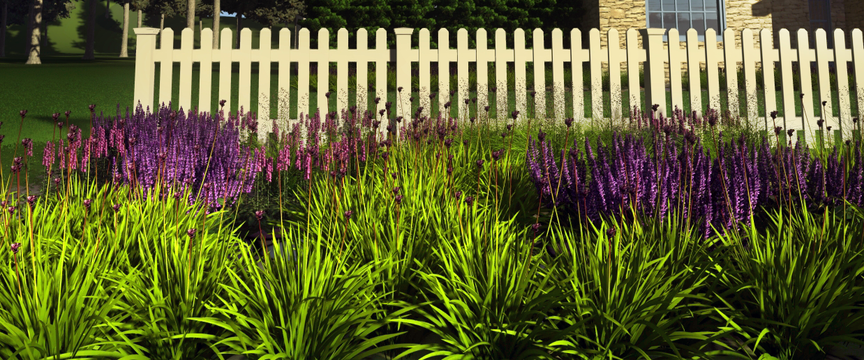 Front yard - Perspective