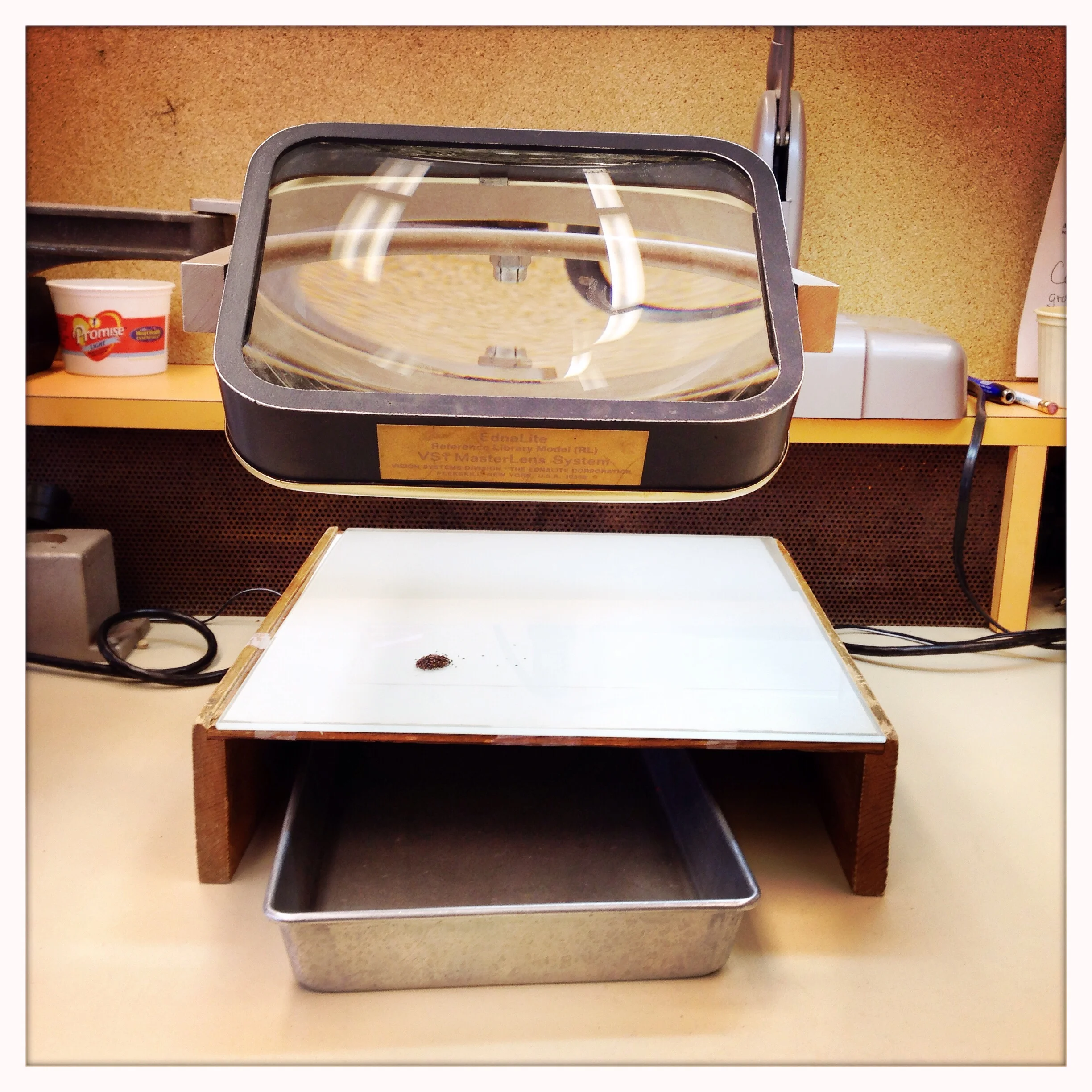 Magnifying glass station used for hand-sorting and seed counting.