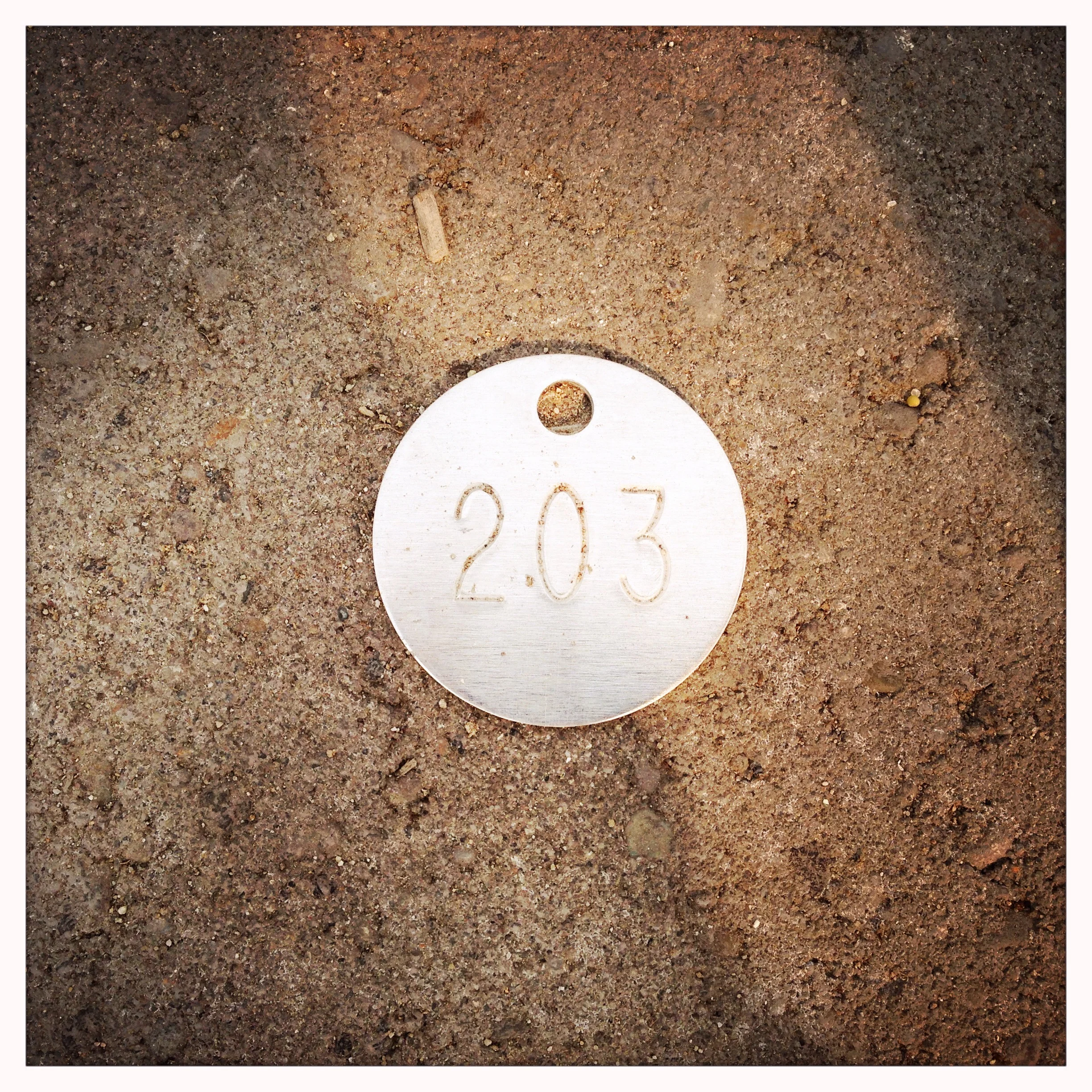 My very own P-Patch dog tag, plot #203.