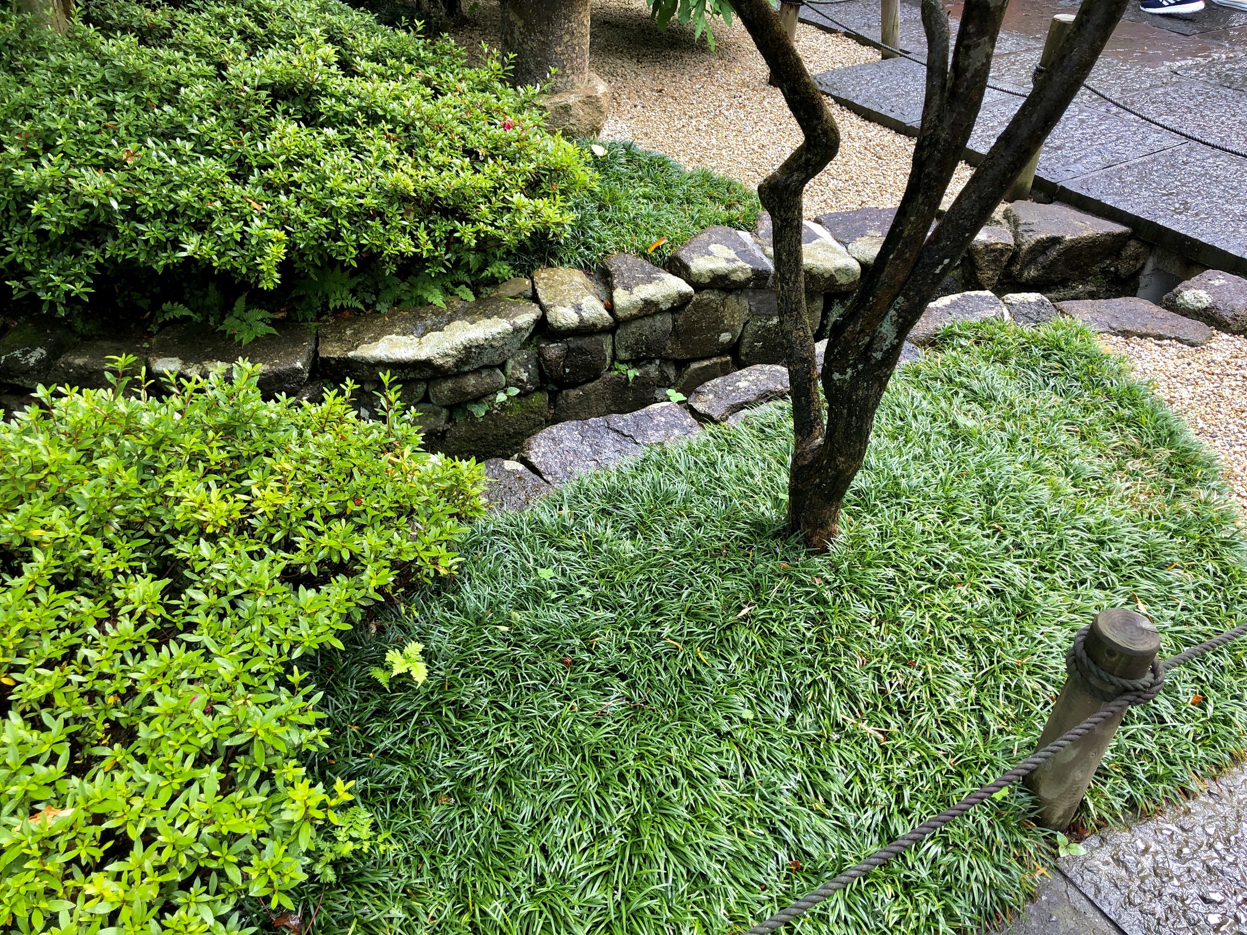 Stone-lined stream channel echoing the melodic sounds of raindrops.