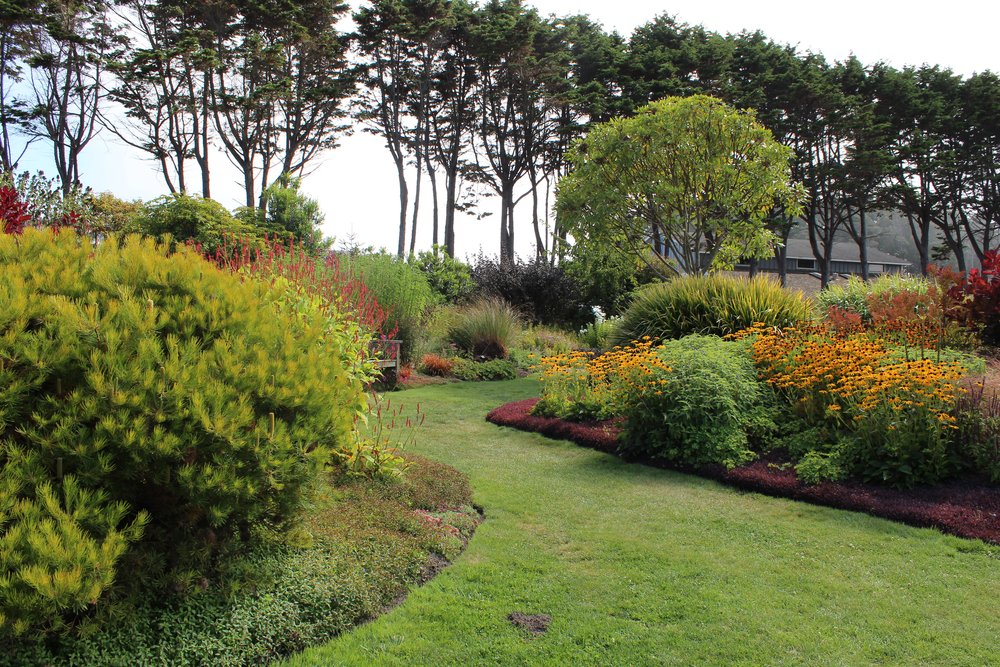 Beckoning to explore, lawn is used not as an afterthought, but as strong negative space that facilitates a smooth transition from 'garden room' into 'garden path'.