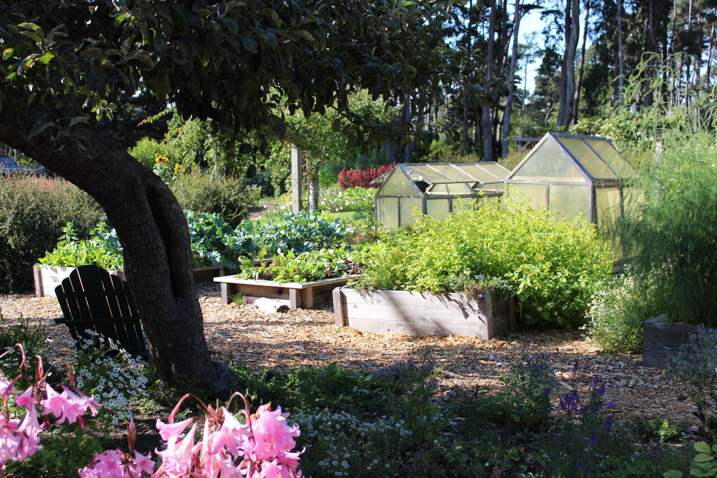 View from the vegetable garden an orchard.