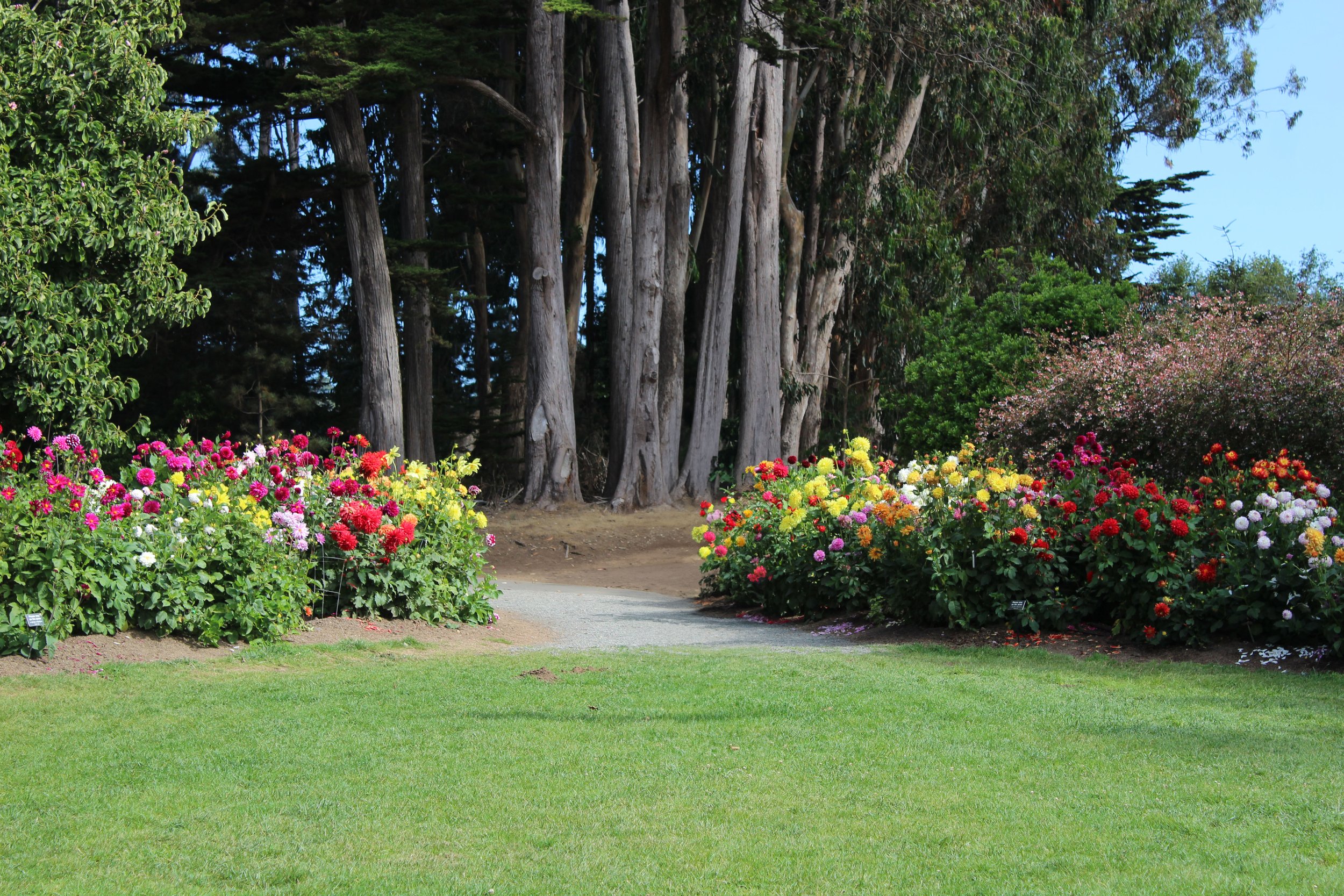 Entrance to the Dahlia Garden lawn.