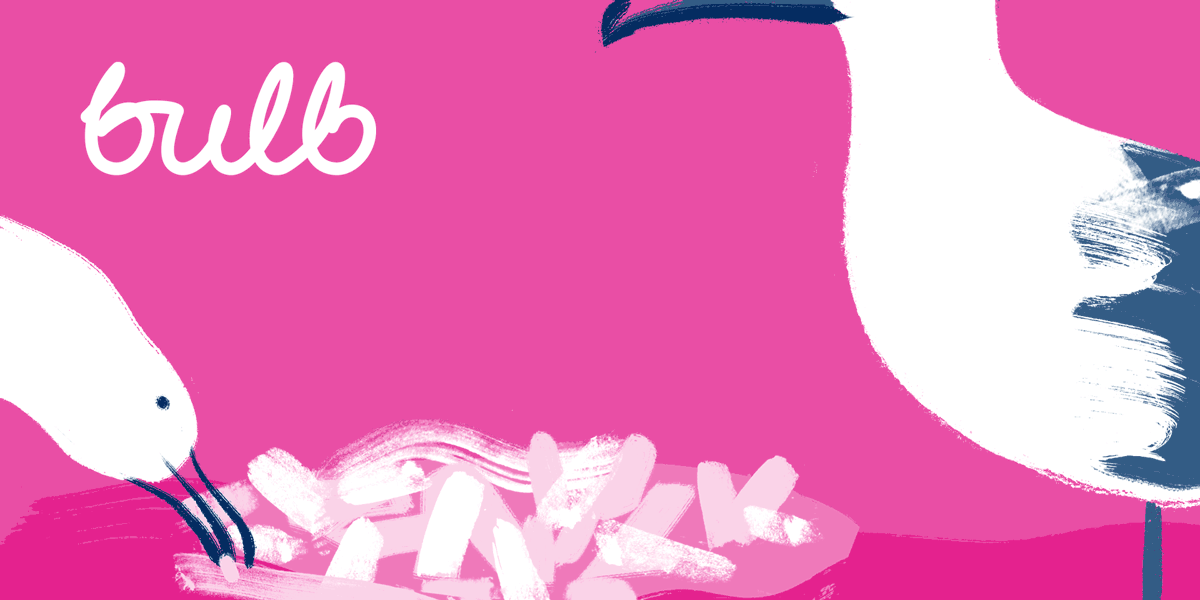 August-email-header-2021-07-gulls-chips_e94ea5.gif