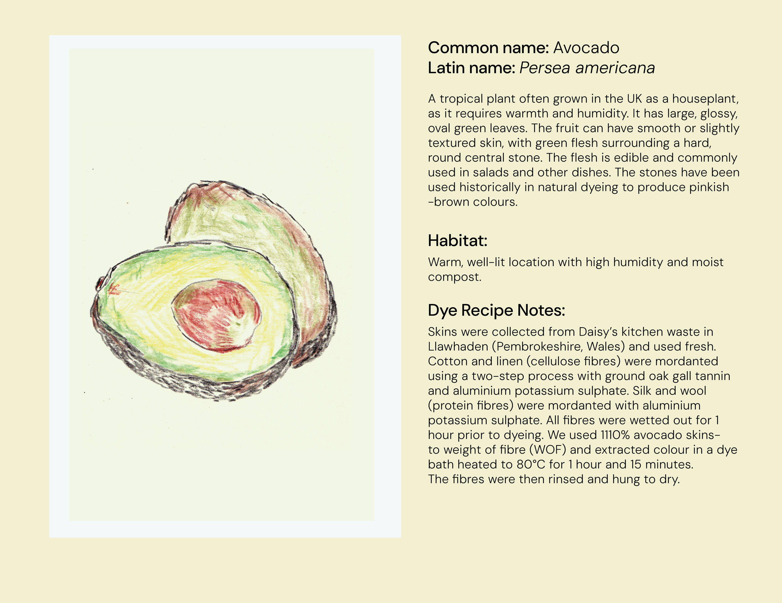 16_Avocado_Skins_Eng.png