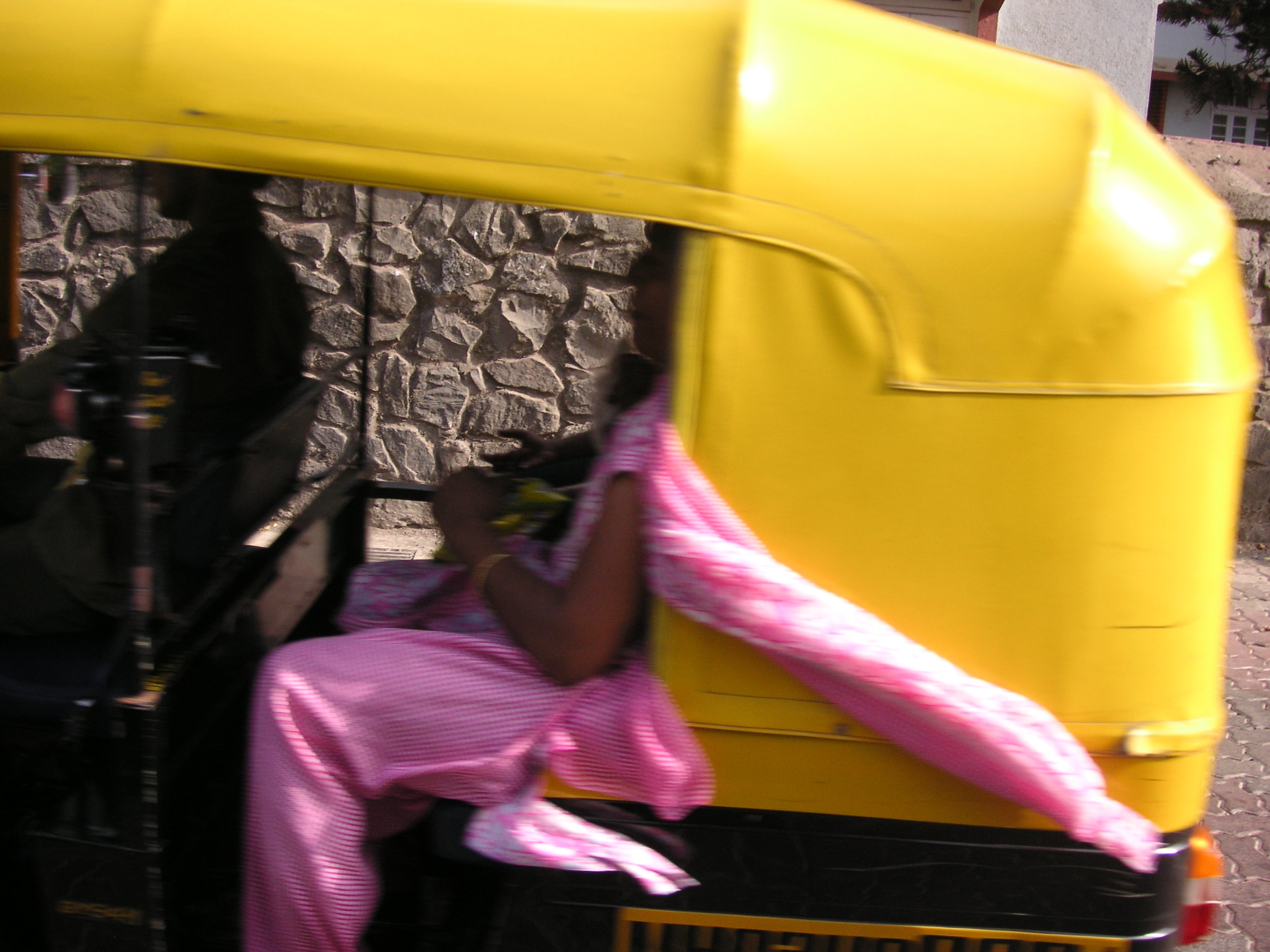 Pros and Cons of Rikshawing