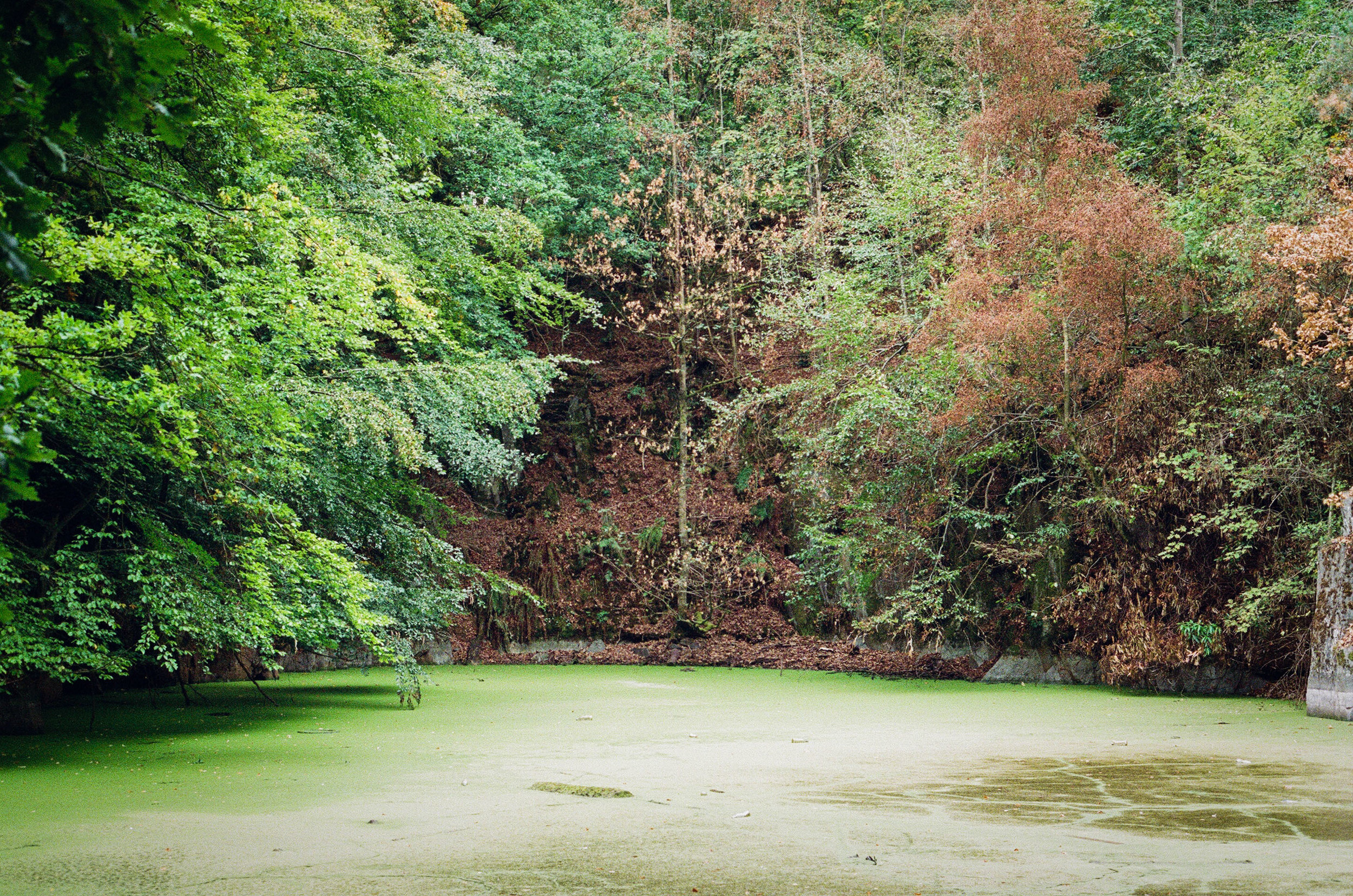 We originally planned on having someone go in the water behind the castle until we received the following in an email from the owner: “I would point out that the water is over 90 feet deep and very cold, so that any activity near it is potentially dangerous, indeed lethal. The sides of the slate pit are loose, and there is a long drop into the water if you slip.” We couldn’t persuade anyone.