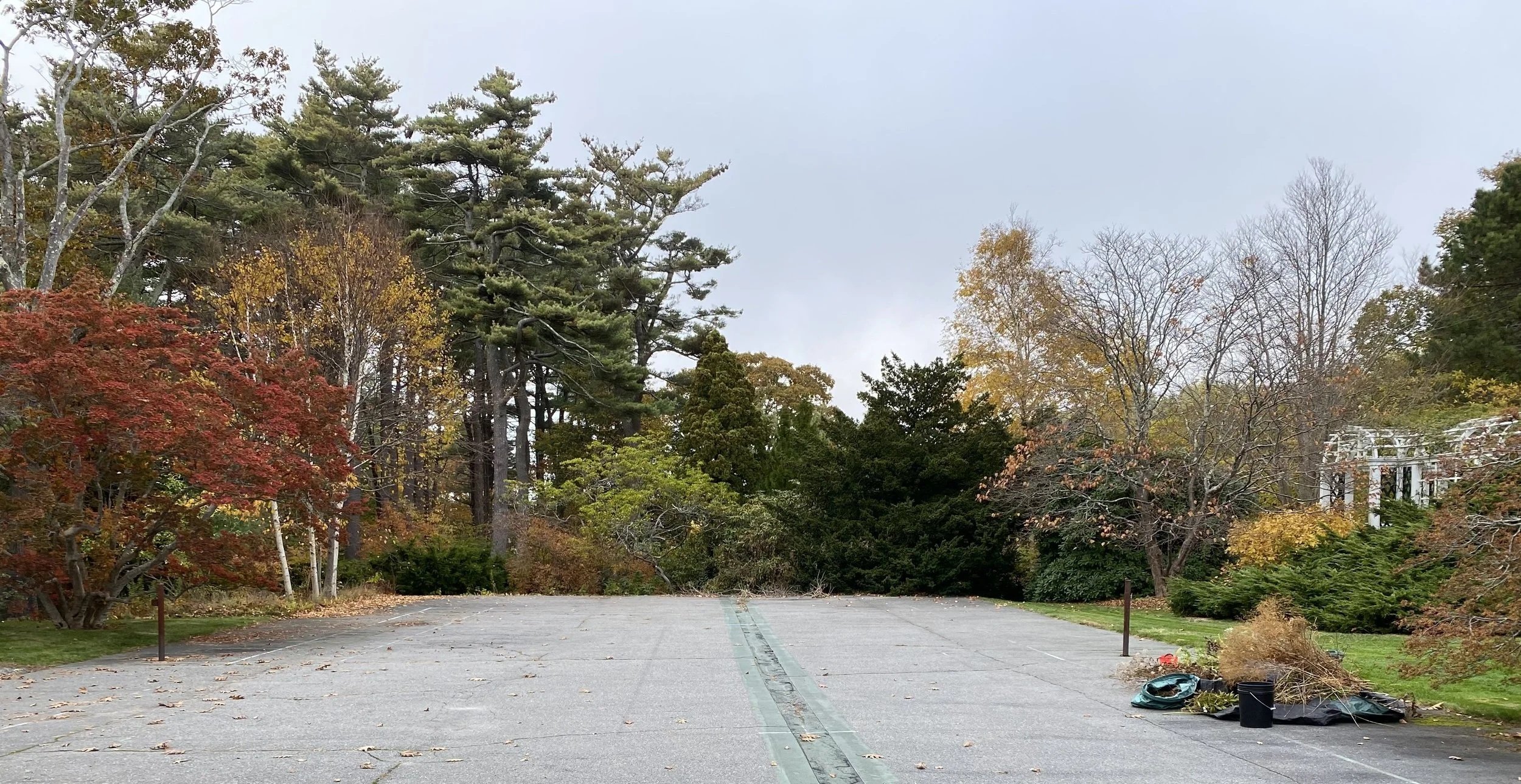 before photo of old tennis court