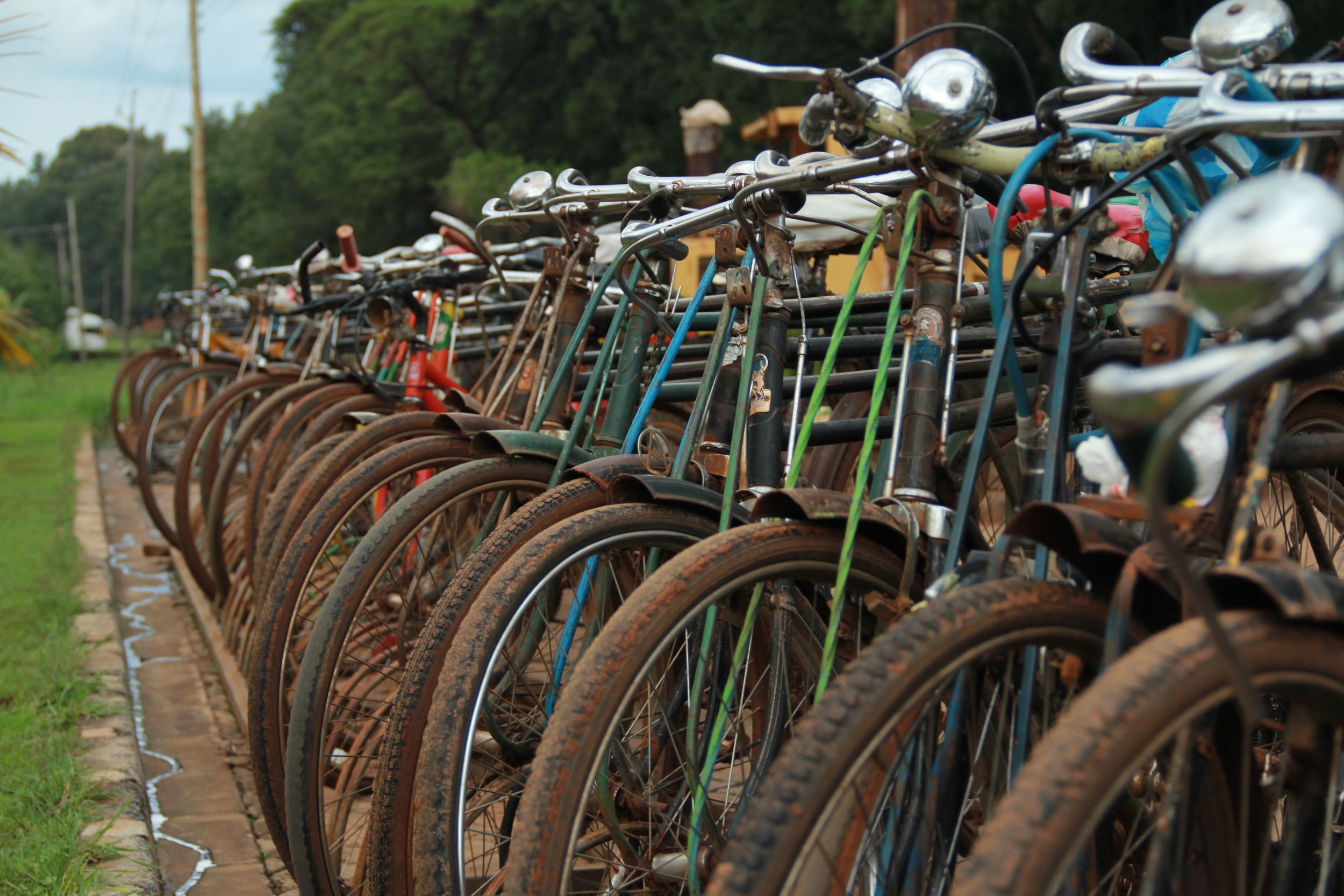 lined bikes.jpg