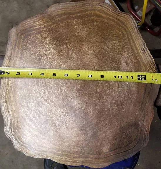 A sheet that has been patterned and hammered out to 14ga, 13 inches diameter for raising.