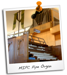 Polaroid-Organ.png
