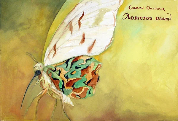 02-Common-Oilsucker.jpg
