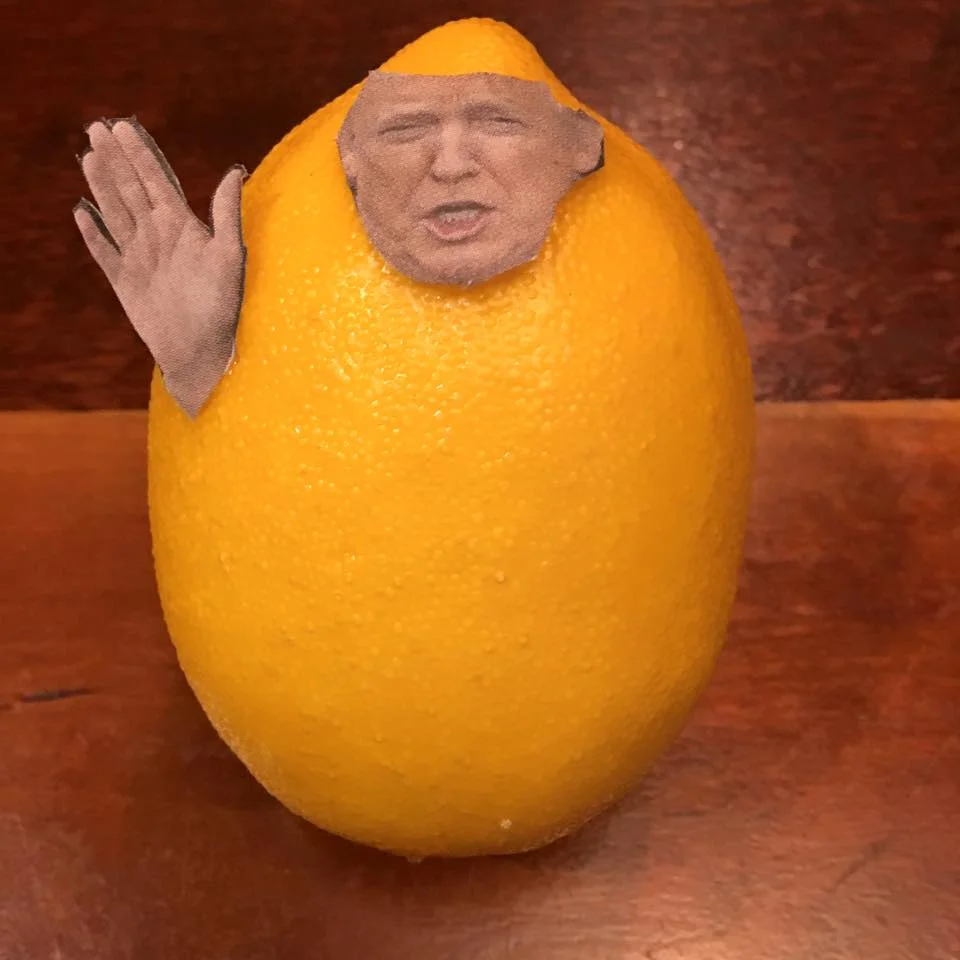1.21.17 The Great Lemon Oath... "I swear there were 1.5 million at my inauguration, if you count all my lies." #Lemonlaw , #Squeezethelemon , # Zesty