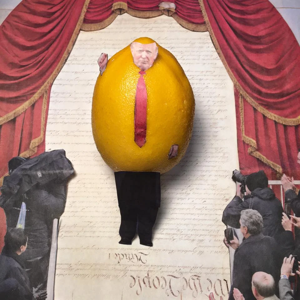 1.23.17 Another installment of the Great Lemon Installed... "Let me tell you people, I love the Constitution. The First Amendment–Tremendous. It says the government shall have no limit on free speech. That means I can say whatever I want. Tremendous." #Lemonlaw , #Squeezethelemon , # Zesty