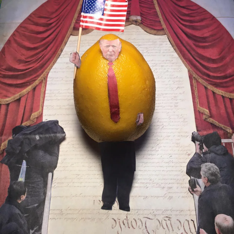 1.24.17 Patriotism is the last refuge of a scoundrel... "Mr. Lemon, you must divest!" "I don't want to divest, I want to unite. Therefore, I do hereby proclaim Jan. 20, 2017, as National Day of Patriotic Devotion, in order to distract you." #Lemonlaw #Squeezethelemon #Zesty #DivestDonald