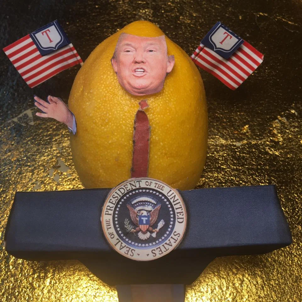 2.17.17 Lemon v. Press (V is for Verbatim)... "I don't think there's ever been a president elected who in this short period of time has done what we've done. "Tomorrow, they will say, 'Donald Trump rants and raves at the press'. I'm not ranting and raving. I'm just telling you. You know, you're dishonest people. But – but I'm not ranting and raving. I love this. I'm having a good time doing it. But tomorrow, the headlines are going to be, 'Donald Trump rants and raves.' I'm not ranting and raving. "I turn on the T.V., open the newspapers and I see stories of chaos. Chaos. Yet it is the exact opposite. This administration is running like a fine-tuned machine, despite the fact that I can’t get my cabinet approved. "And I'll tell you what else I see. I see tone. You know the word 'tone'. The tone is such hatred. I'm really not a bad person, by the way. No, but the tone is such – I do get good ratings, you have to admit that – the tone is such hatred. "And I said to myself, you know - and I said to somebody that was in the room, I said 'you take a look at Reince, he's working so hard just putting out fires that are fake fires.' I mean, they're fake. "And the leaks are absolutely real. The news is fake because so much of the news is fake. "I've been briefed. And I can tell you one thing about a briefing that we're allowed to say, because anybody that ever read the most basic book can say it, nuclear holocaust would be like no other." #Lemonlaw #Squeezethelemon #Zesty #DivestDonald
