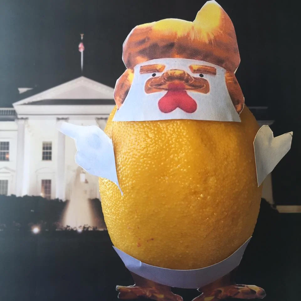 4.9.17 By day, brash and incompetent, at night, the Lemon slips into his robe and becomes the Chicken Don–taking on corruption and fighting justice! No one ever sees his taxes–will the Chicken ever be unmasked... "Well, we're working on that now. I have very big returns, as you know, and I have everything all approved and very beautiful and we'll be working that over in the next period of time–perhaps when I'm subpoenaed." #TaxMarch