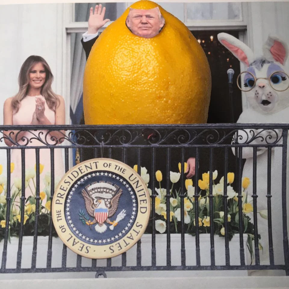 4.17.17 Lemon on a Roll... "We will be stronger and bigger and better as a nation than ever before, and we are right on track. I’ve seen those kids, and they’re highly, highly competitive. Our military is building and is rapidly becoming stronger than ever before. Frankly, we have no choice! We sent lots and lots of cruise missiles to the airport in Syria. We dropped the biggest bomb on Afghanistan. THE BIGGEST. We sent an armada to North Korea! I am also playing many, many rounds of golf at my private club and making lots and lots of money with my family business. We are sending a message to China and many, many countries. We are all over the map." #TaxMarch #LemonLaw