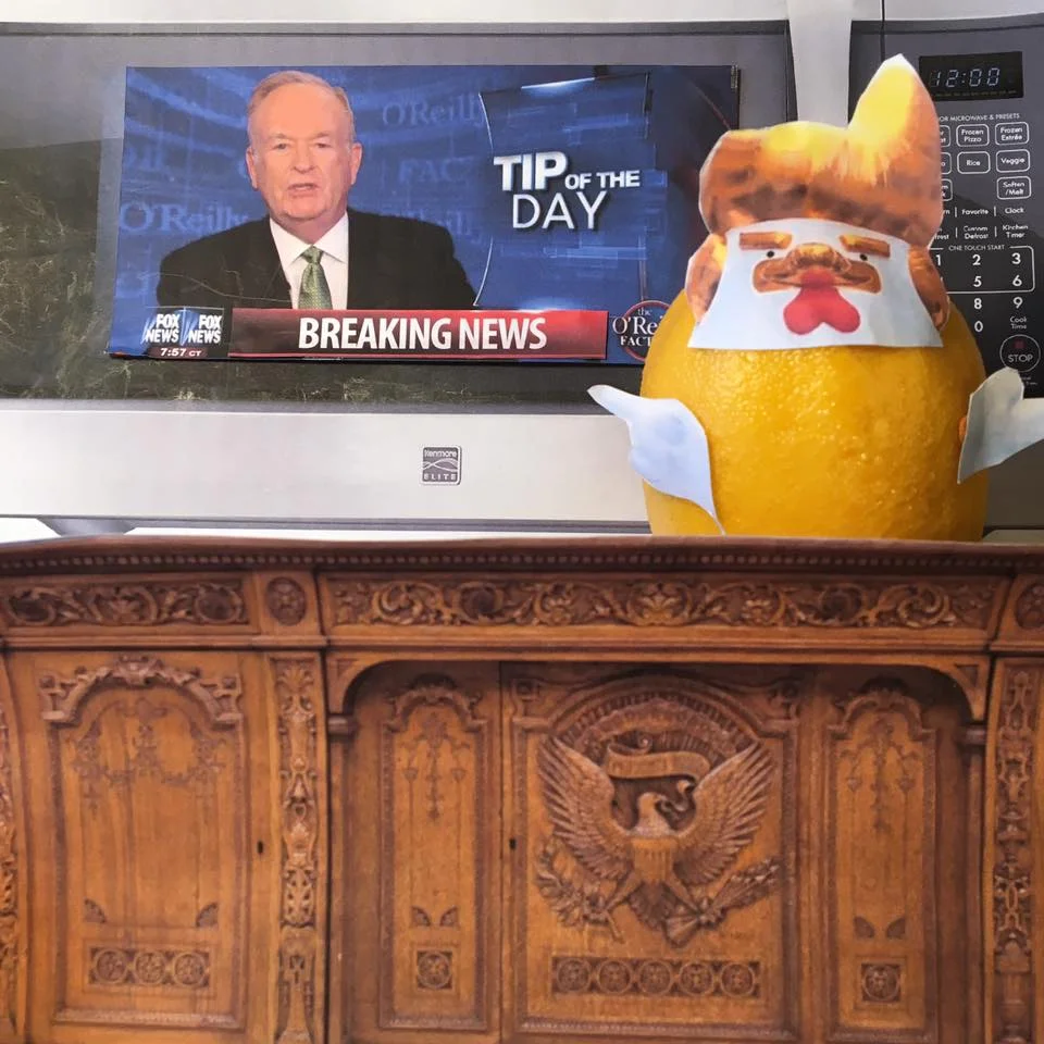 4.19.17 The Defense of the Fox Host by the Chicken-Don Verbatim "I think he's a person I know well — he is a good person, I think he shouldn't have settled; personally I think he shouldn't have settled. Because you should have taken it all the way. I don't think Bill did anything wrong." #TaxMarch #LemonLaw