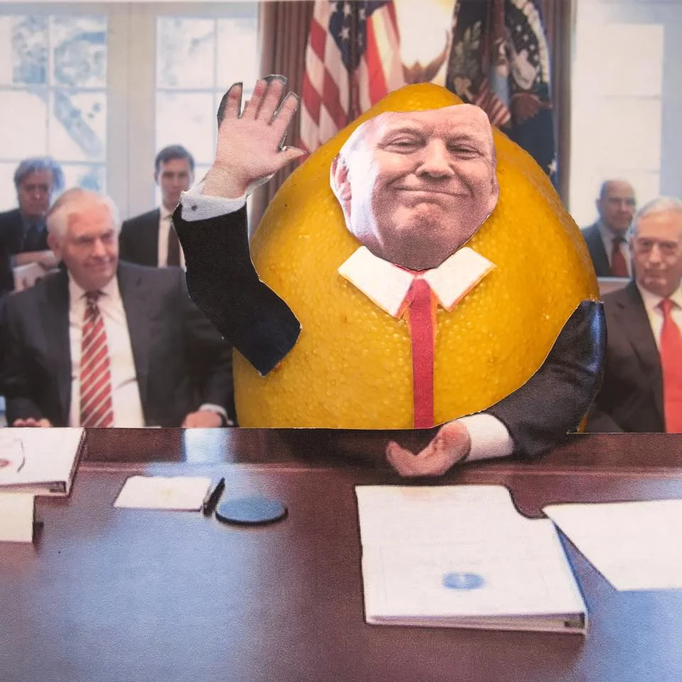 6.12.17 Lemon Verbatim Presents: 'Das Cabinet des D.T. Allegory'... "This is the first cabinet meeting with the entire cabinet present. The confirmation process has been record-setting long, and I mean record-setting long... Never has there been a president....with few exceptions...who's passed more legislation, who's done more things than I have." #LemonLaw