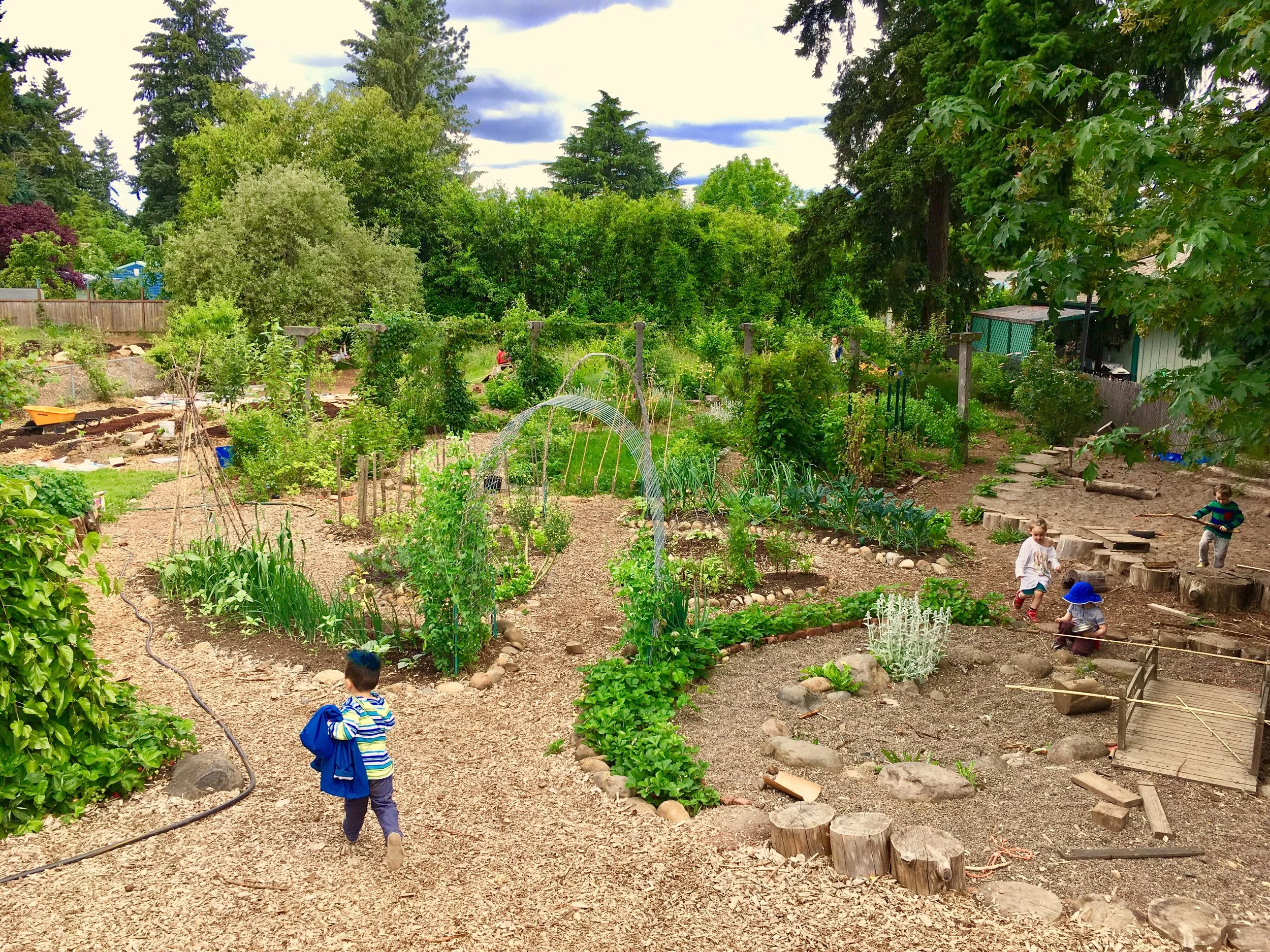 garden.jpg
