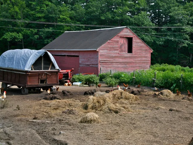 Farm+.jpg