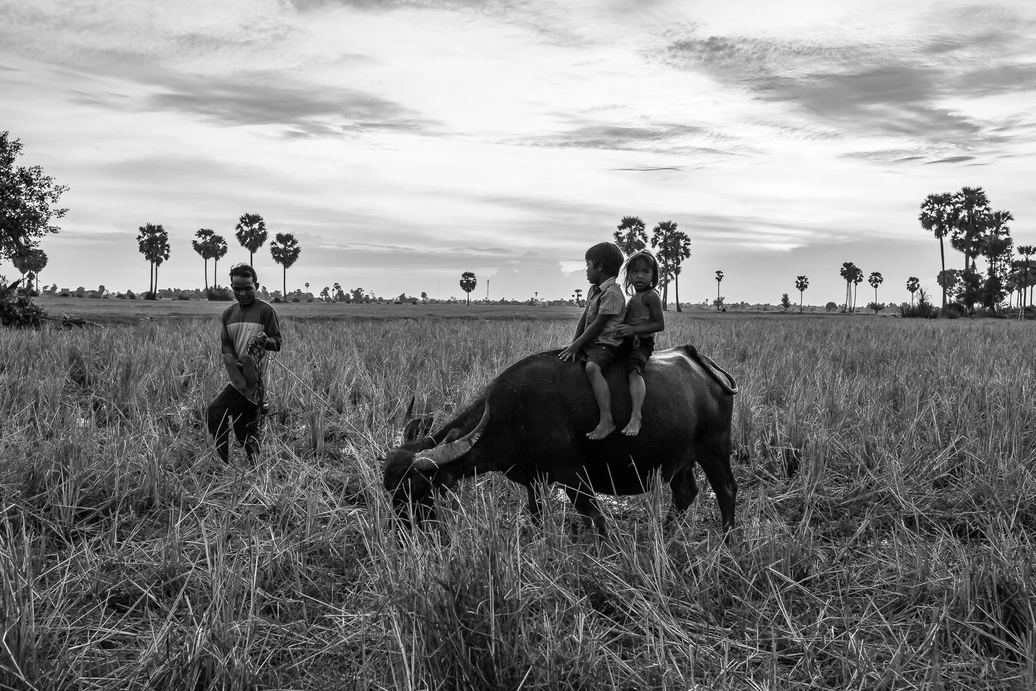 CAMBODIA-7.jpg