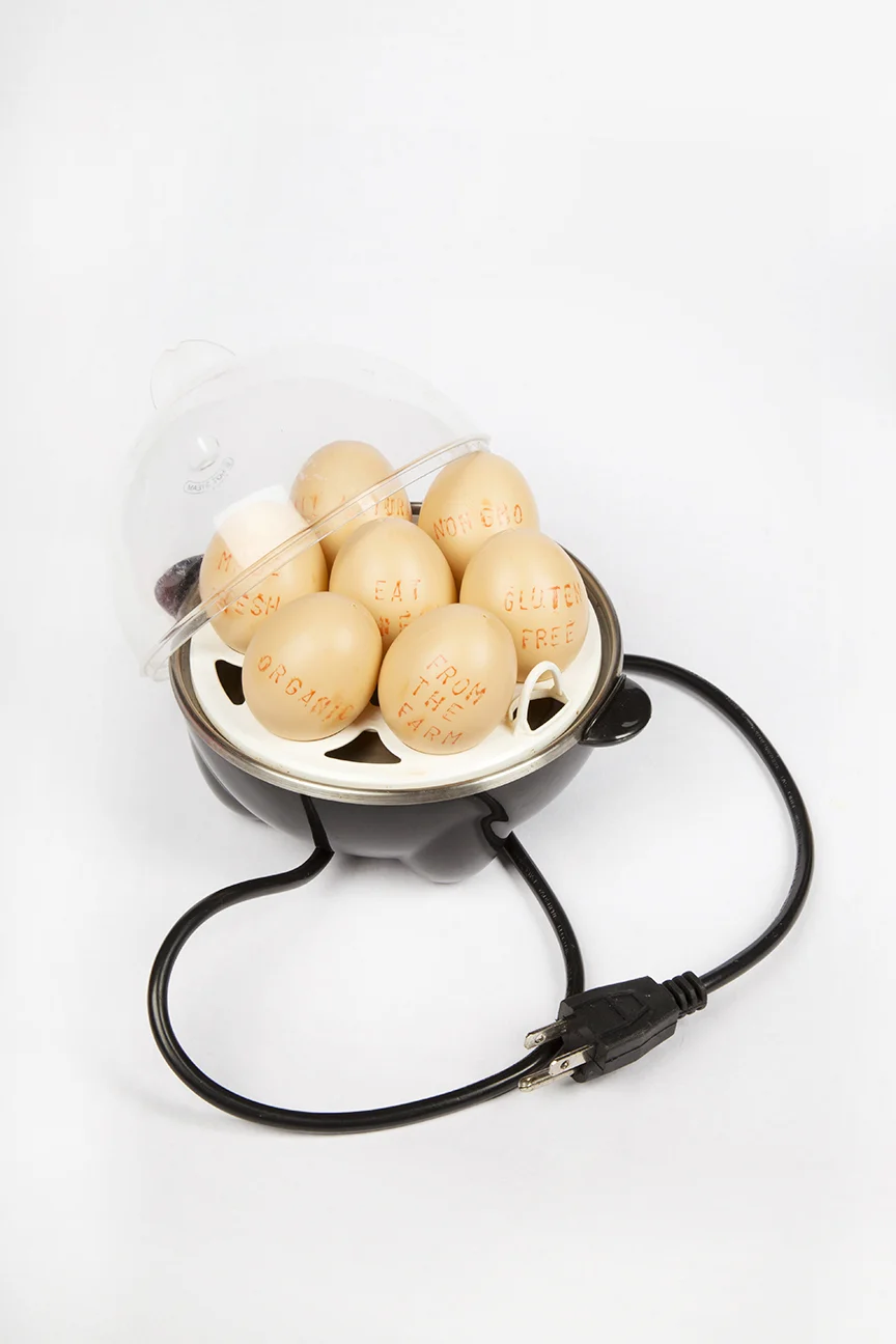 egg boil-1-small.jpg