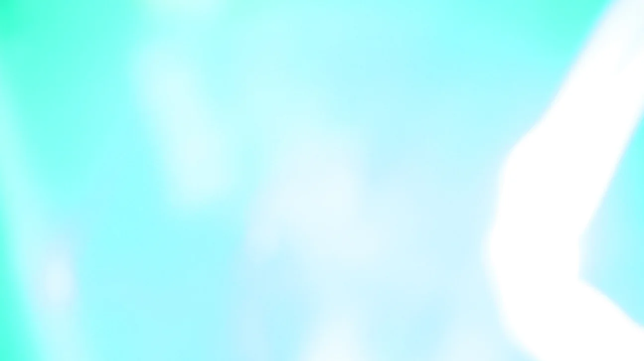 DSC02511.jpg