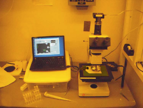 The Experimental Setup