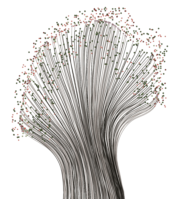 Animation of the step-by-step algorithmic processing of one of the cortical gyri showing (a) partitioning of regions into populations, (b) connection of the populations into neurons, and (c) texturing the neurons. Hue denoting firing time.