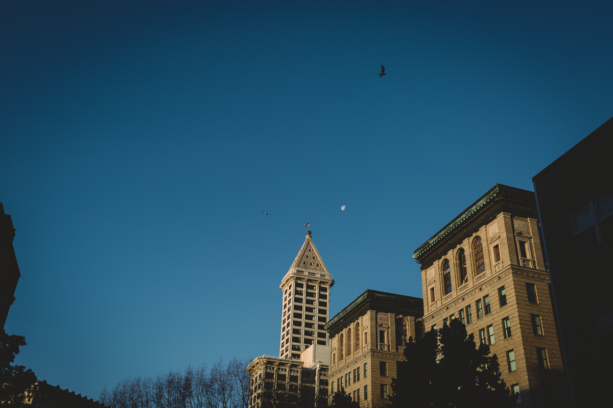 documentary-seattle-adoption-photographer-mullenix-family001.jpg