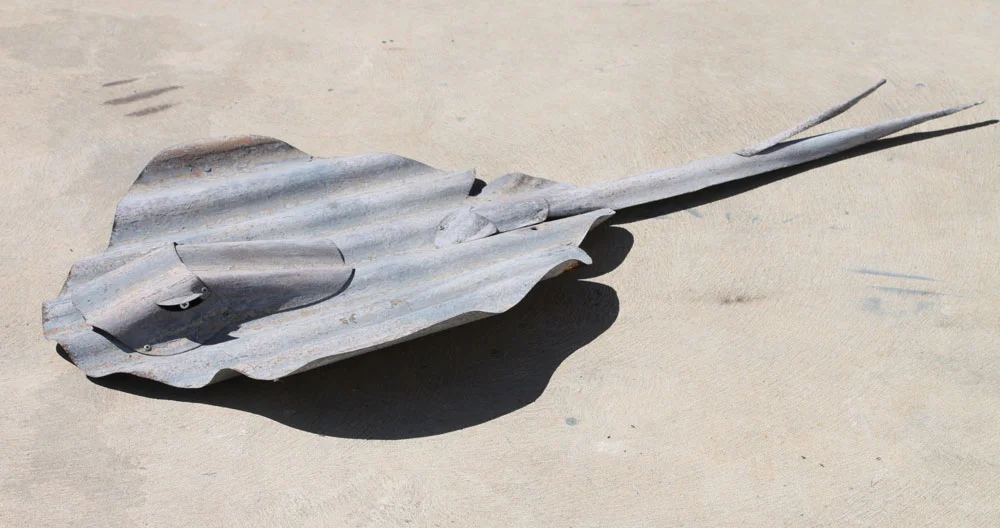 common ray